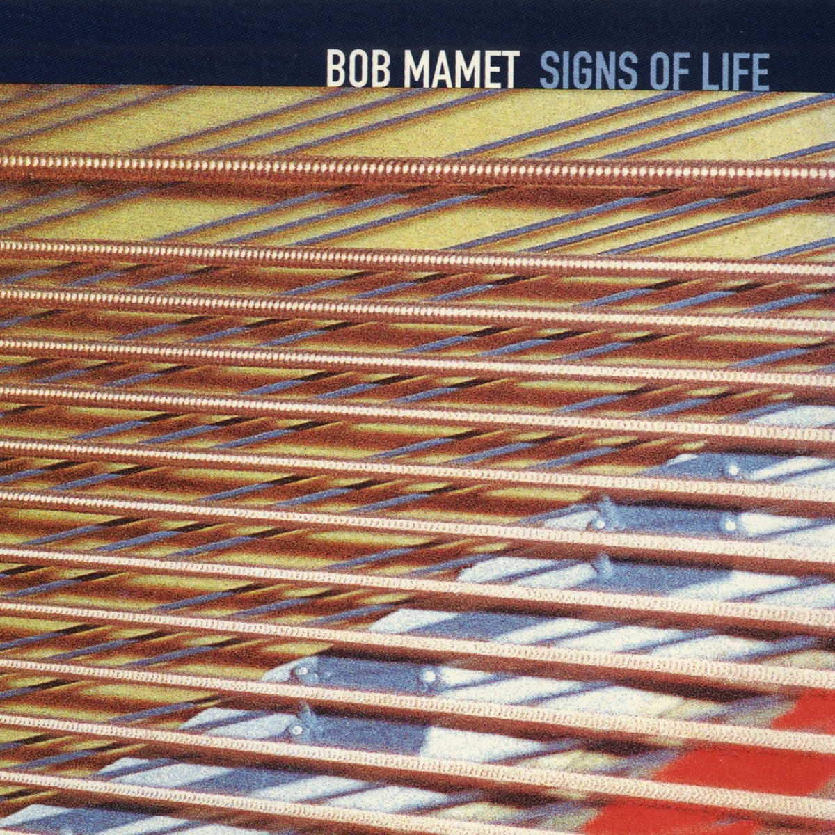 Signs Of Life ( LP Version )