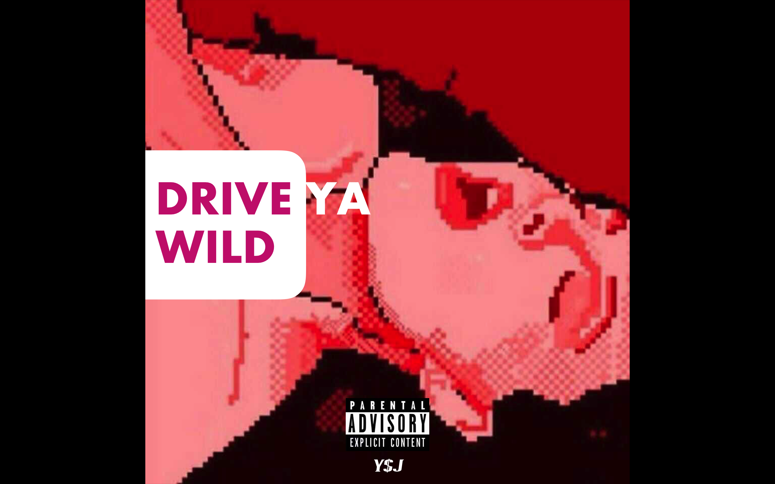 DRIVE YA WILD