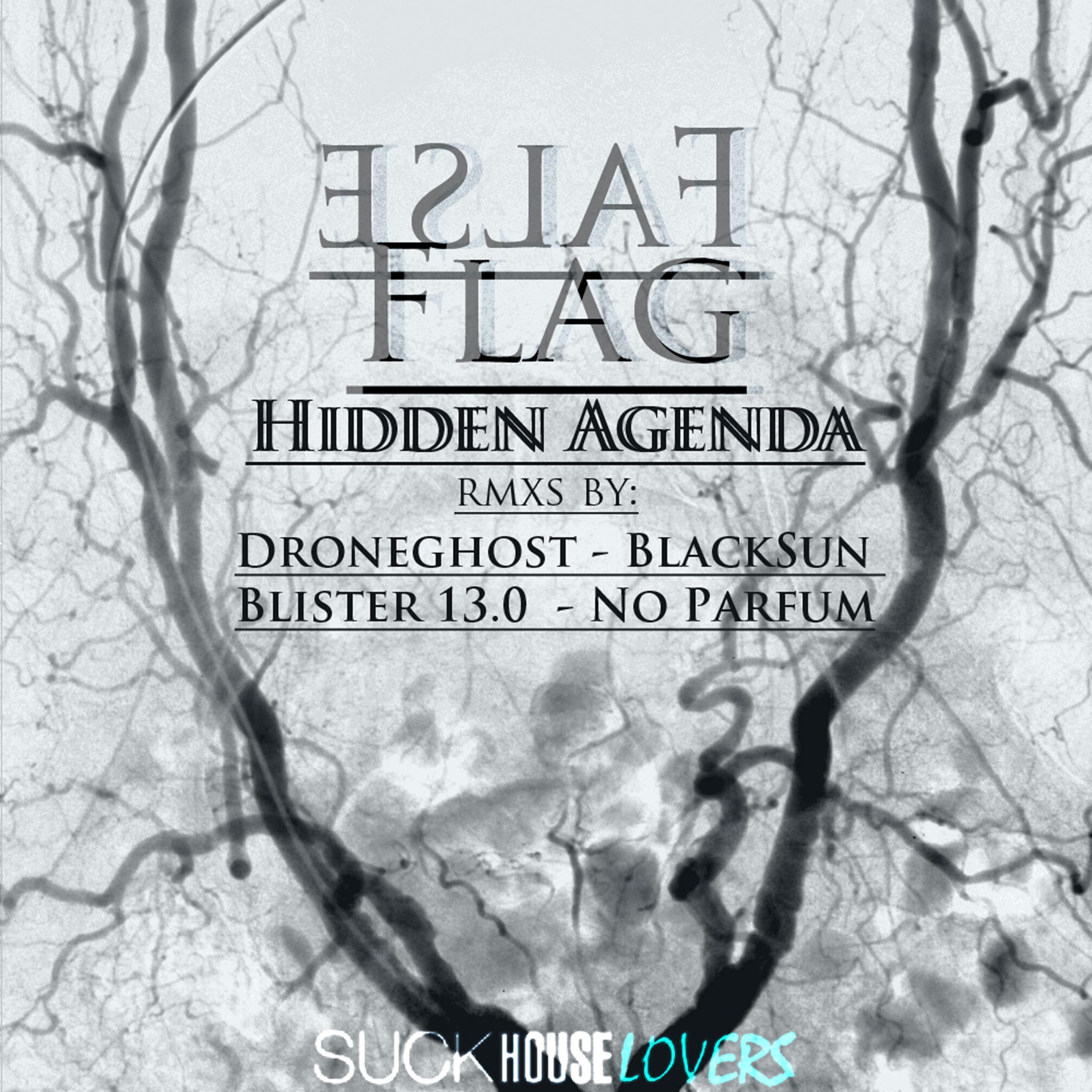 Hidden Agenda