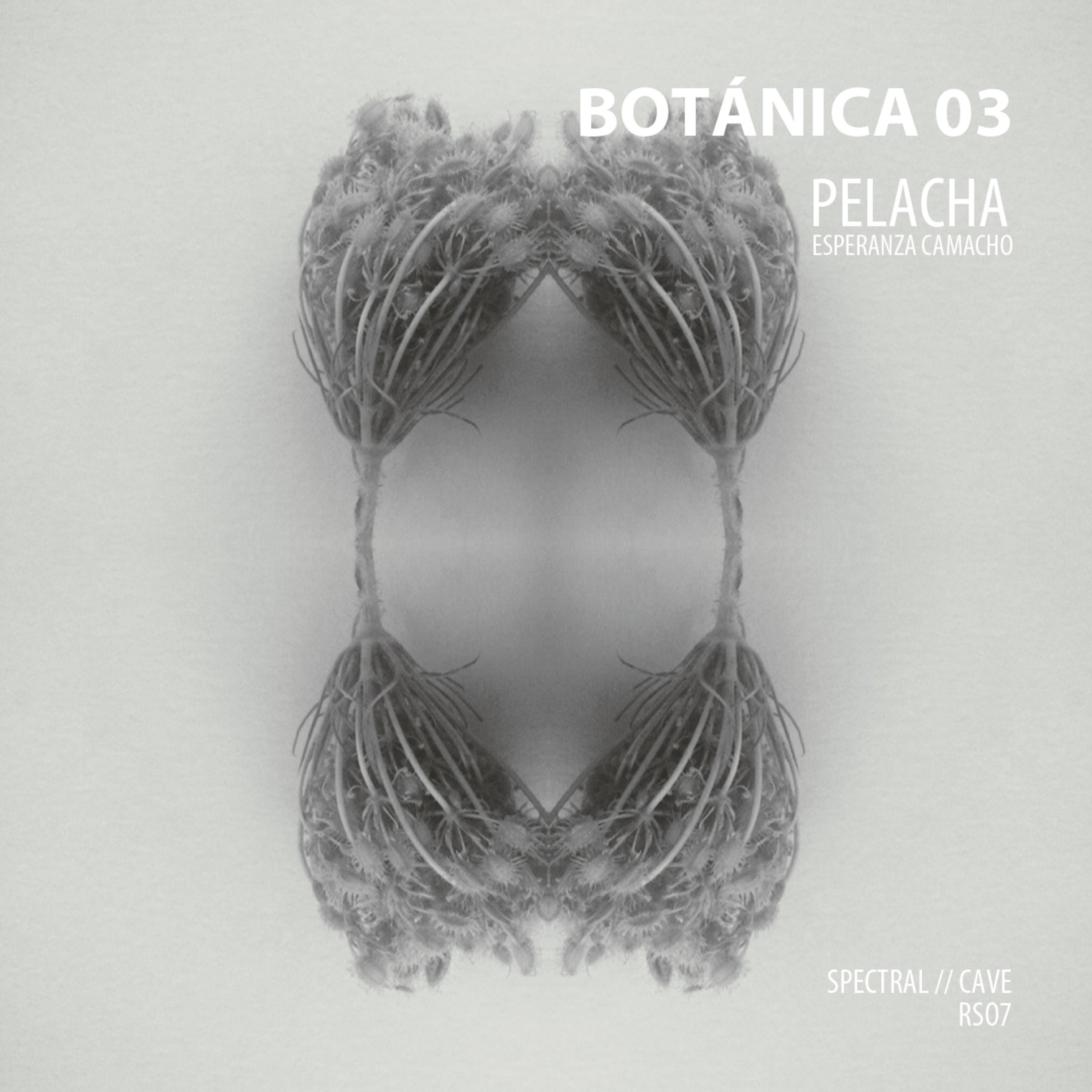 Pelacha Spectral