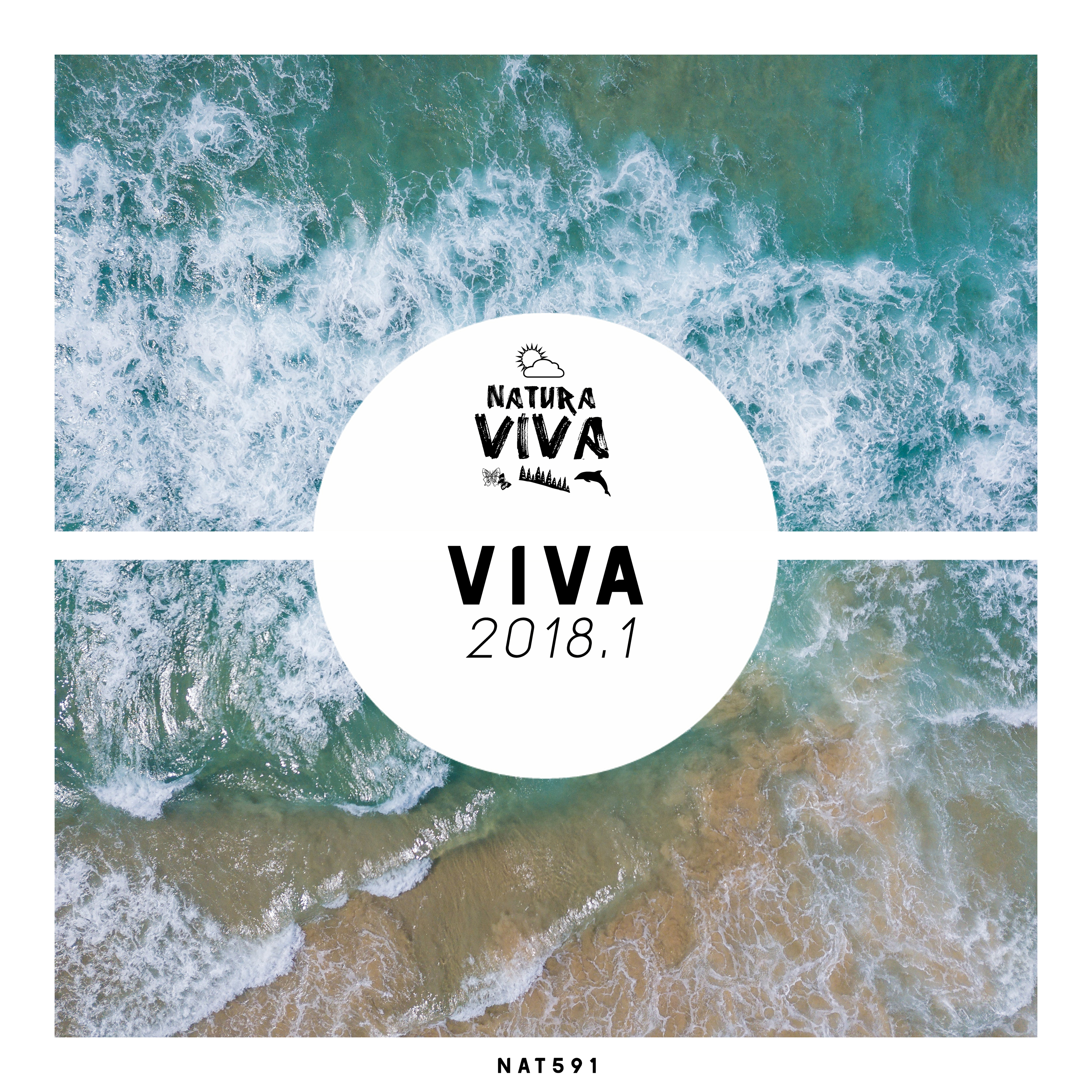 Viva 2018.1