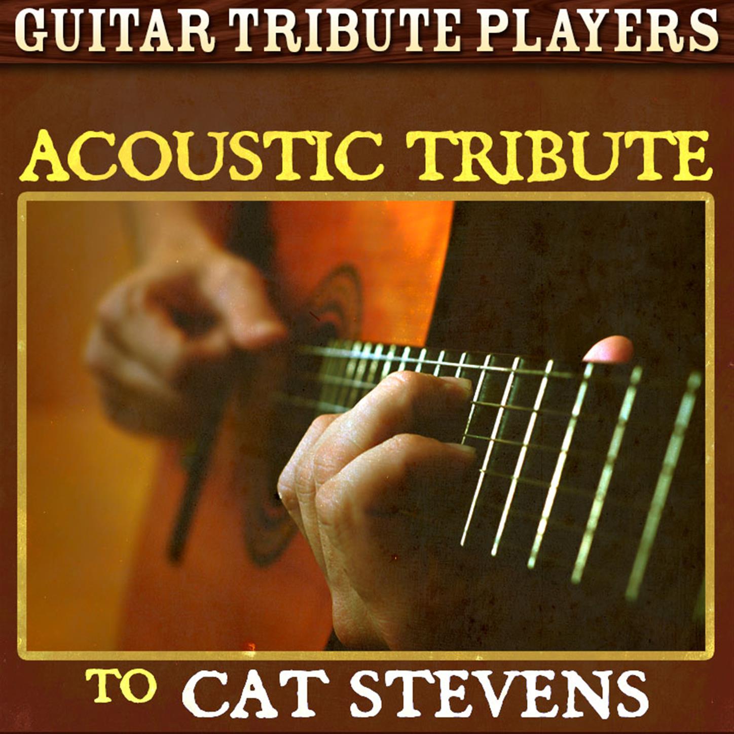 Acoustic Tribute to Cat Stevens