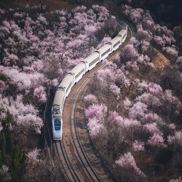 花间游