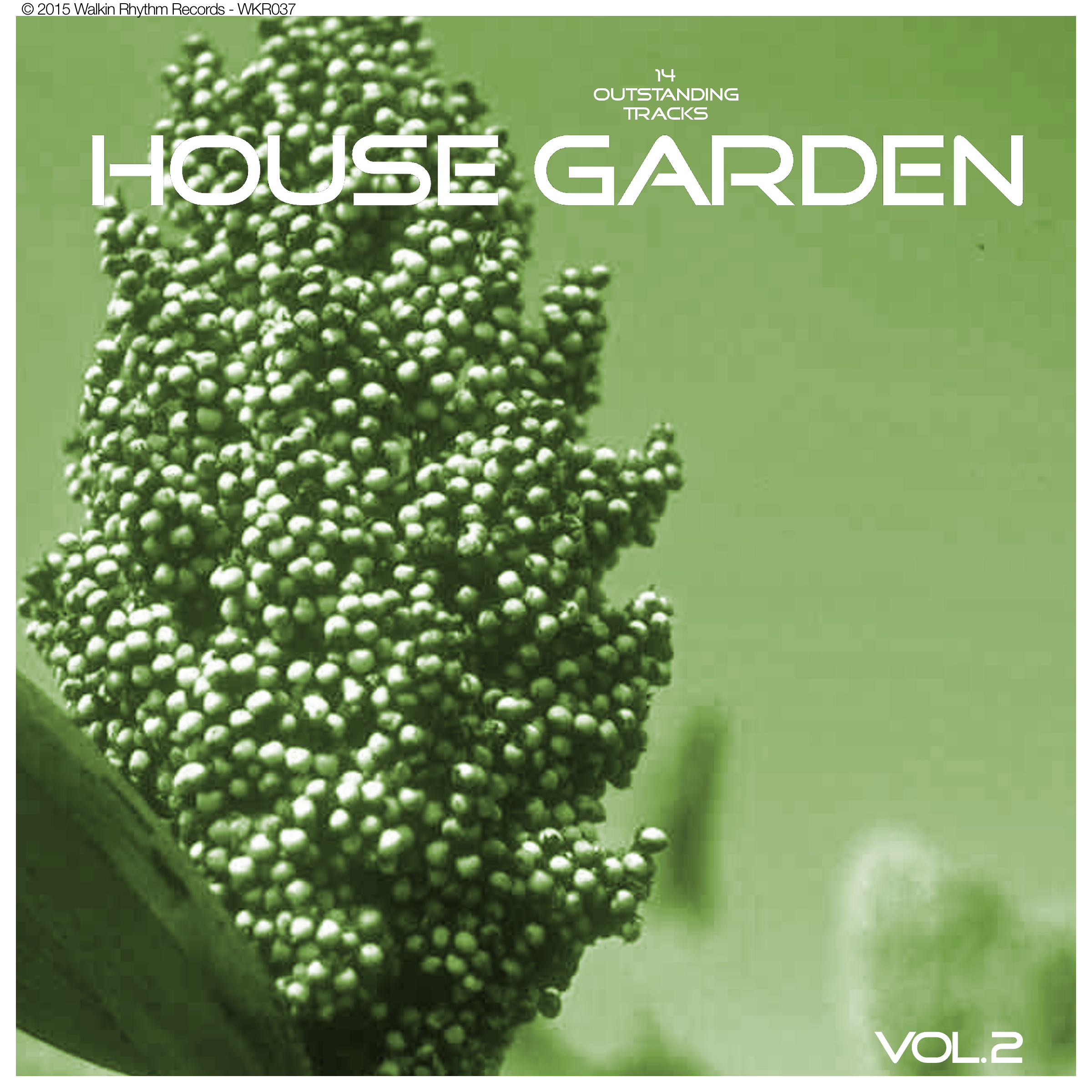 House Garden, Vol. 2