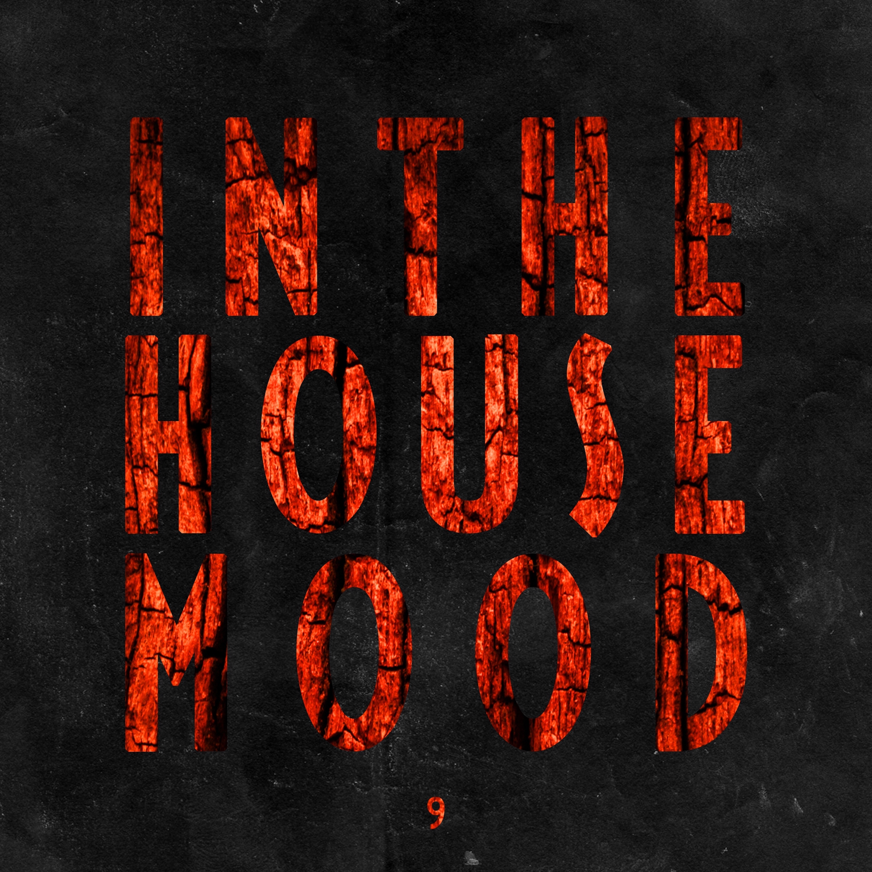 In the House Mood, Vol. 9