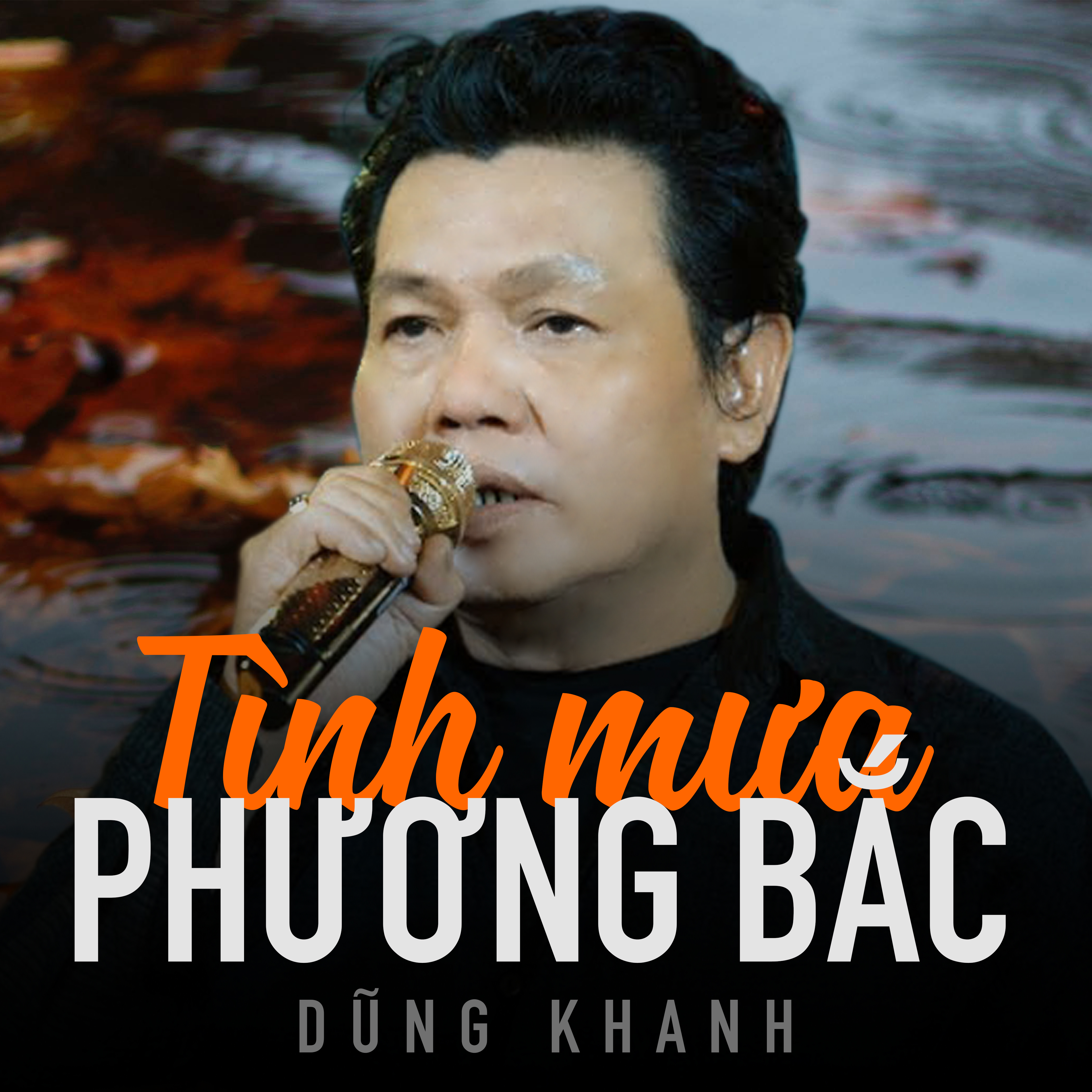 Mảnh vỡ tình sầu