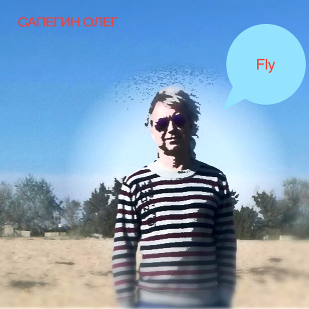 Fly