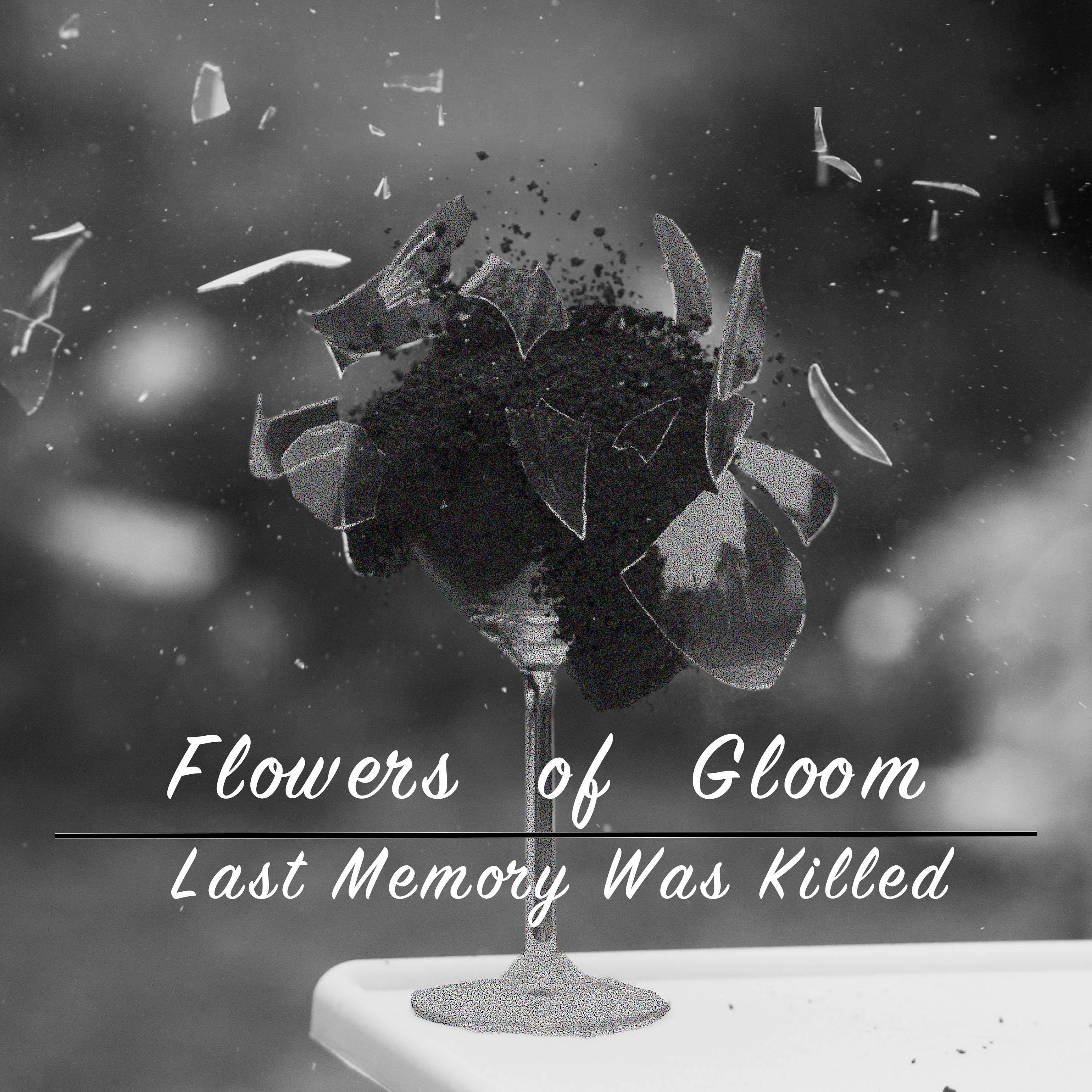 Last Memory Was Killed