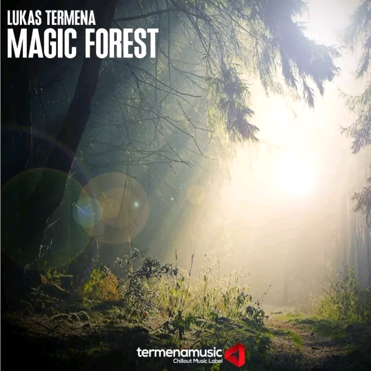 Magic Forest