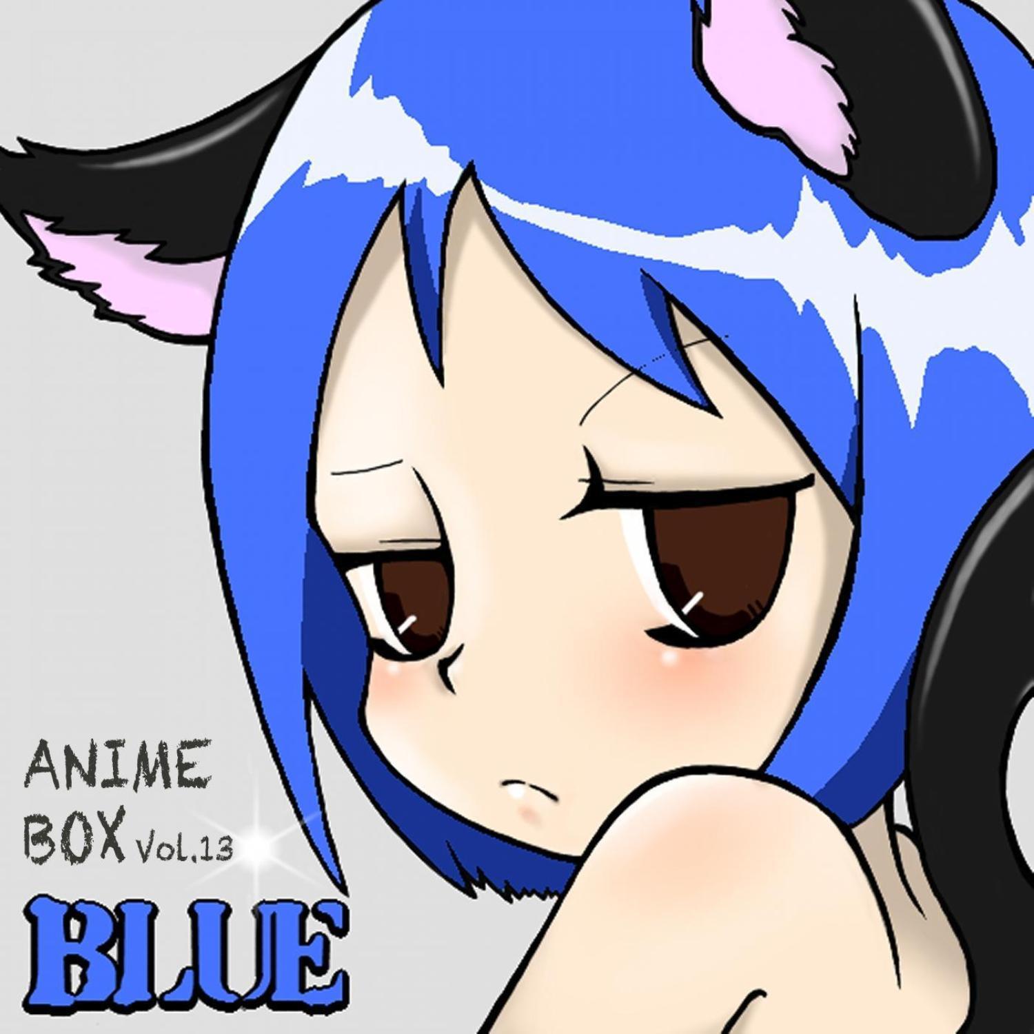 Anime Box Vol.13