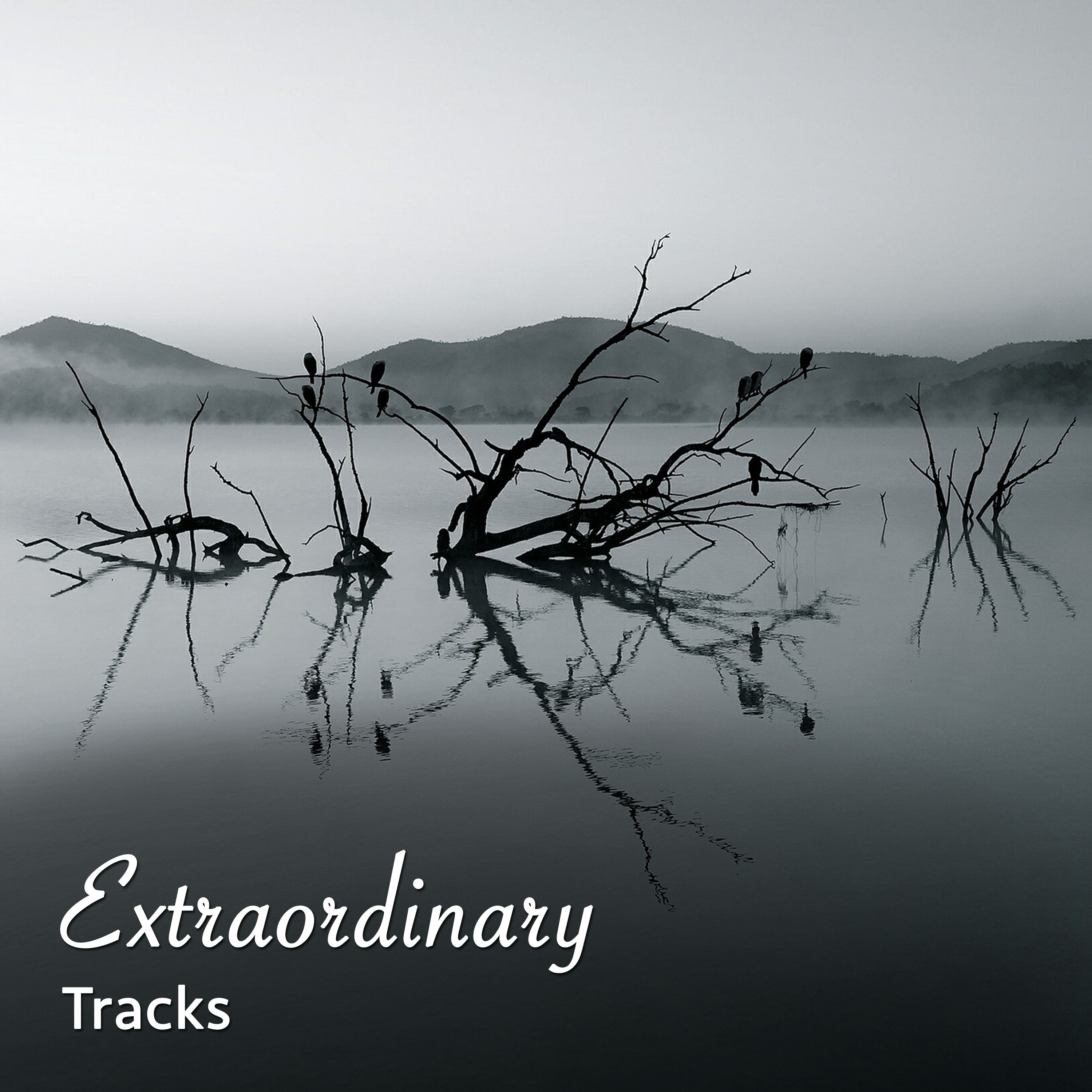 #2019 Extraordinary Tracks for Inner Peace & Meditation