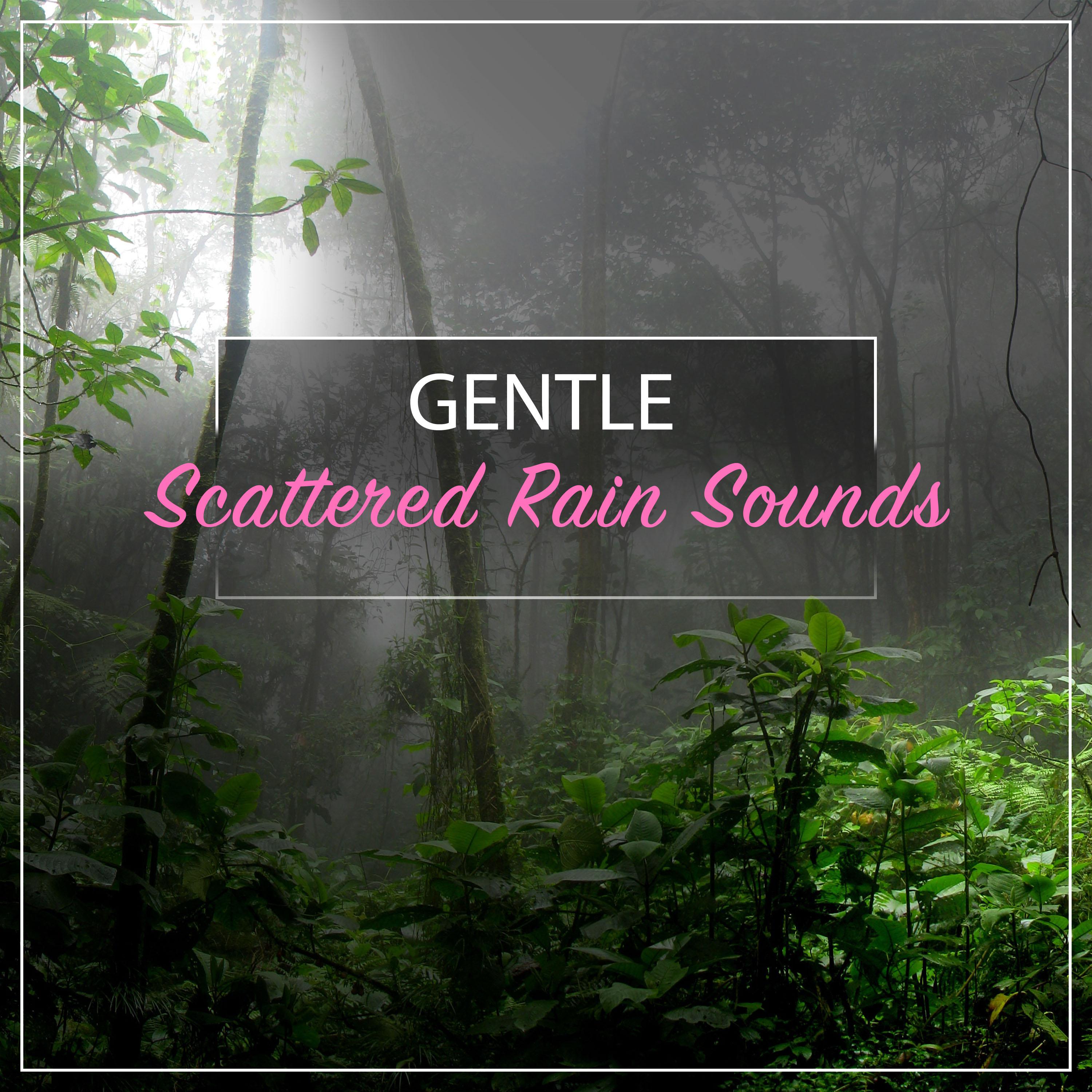 #21 Gentle Scattered Rain Sounds