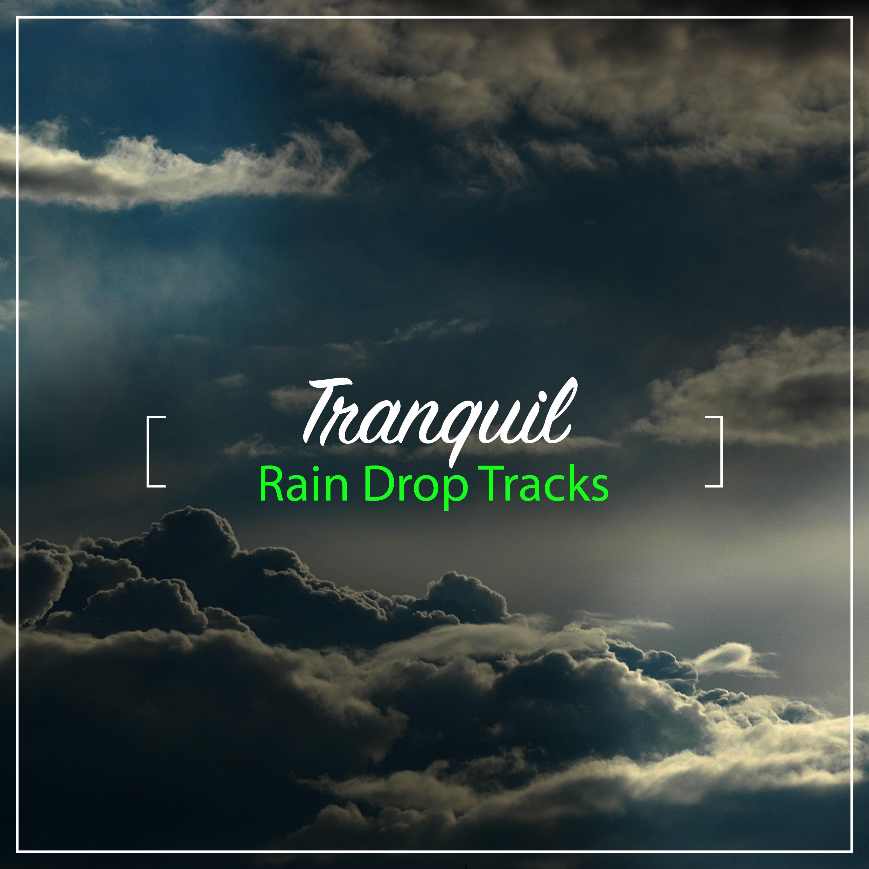 #17 Tranquil Rain Drop Tracks
