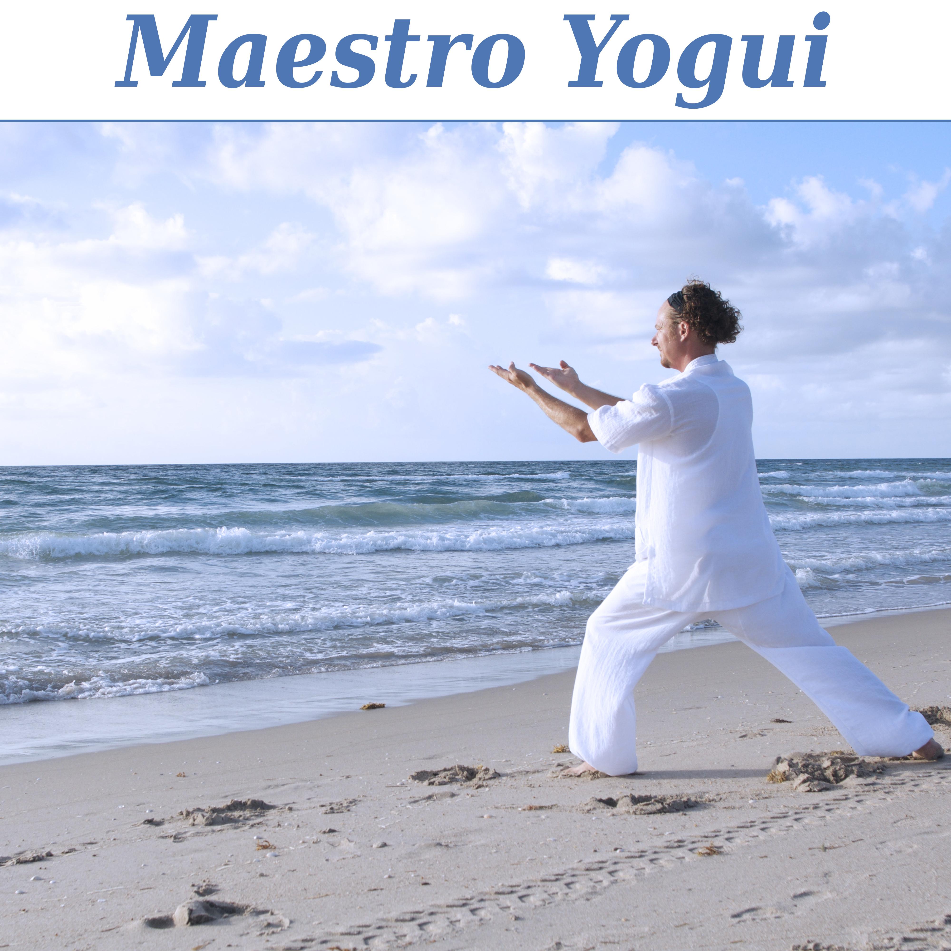 Maestro Yogui -  La Relajación Completa, El Estiramiento y Ejercicio, Armonía y Equilibrio, Resto de Relajación