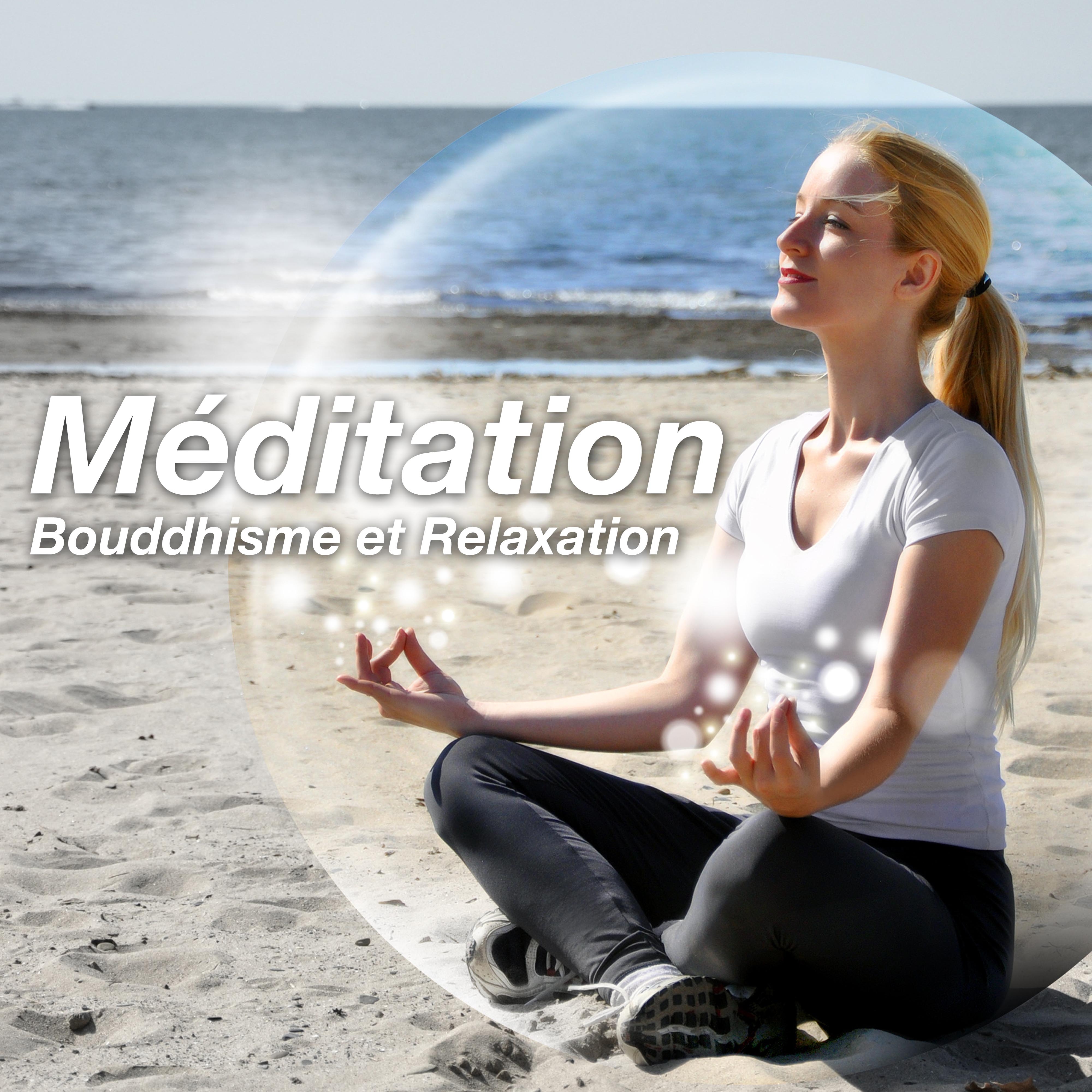 Méditation: Musique pour Bouddhisme et Relaxation pour Méditation Pleine Conscience