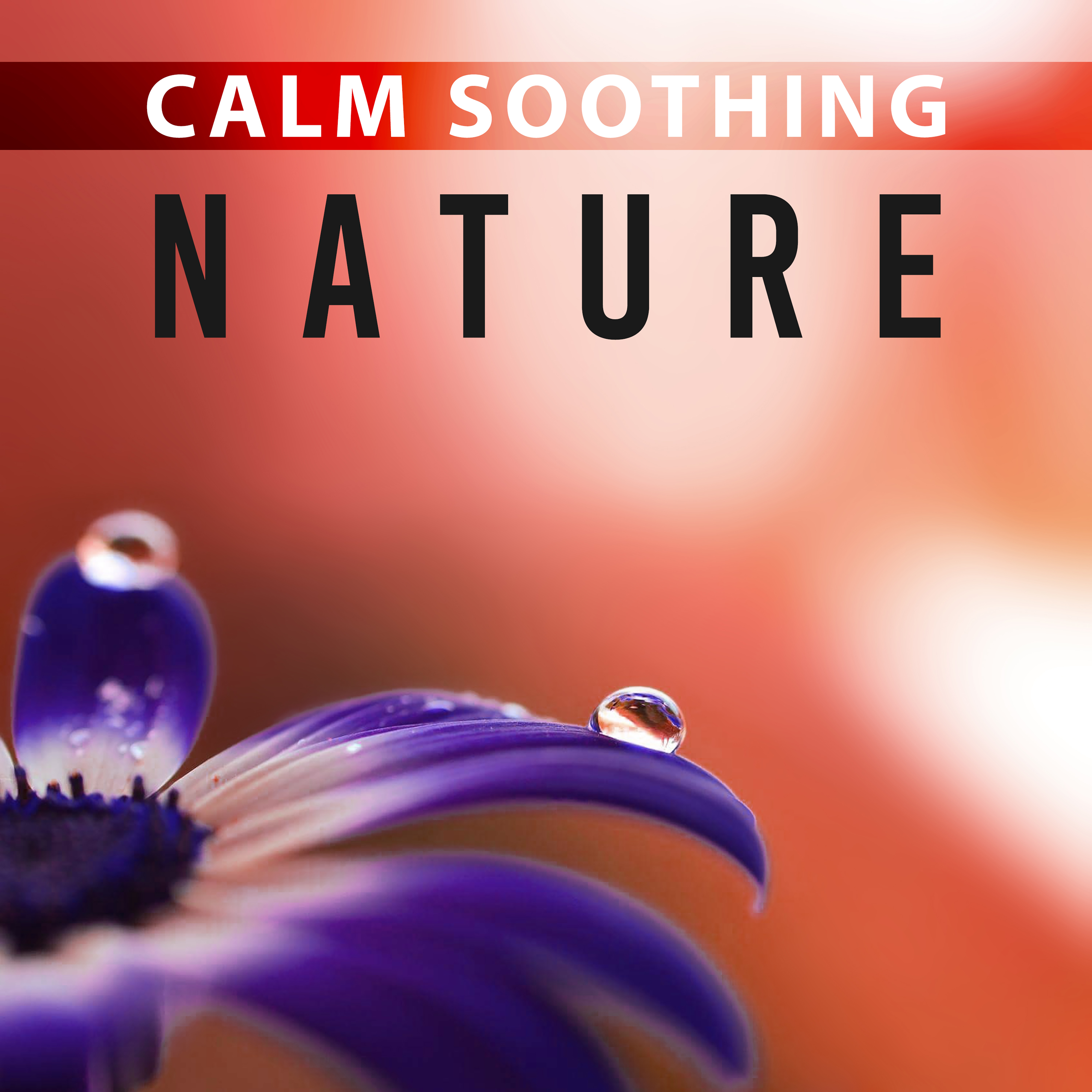 Calm Soothing Nature – Calm Nature Sounds, Earth Music, Peaceful Nature, Tranquil Music, Deep Rest