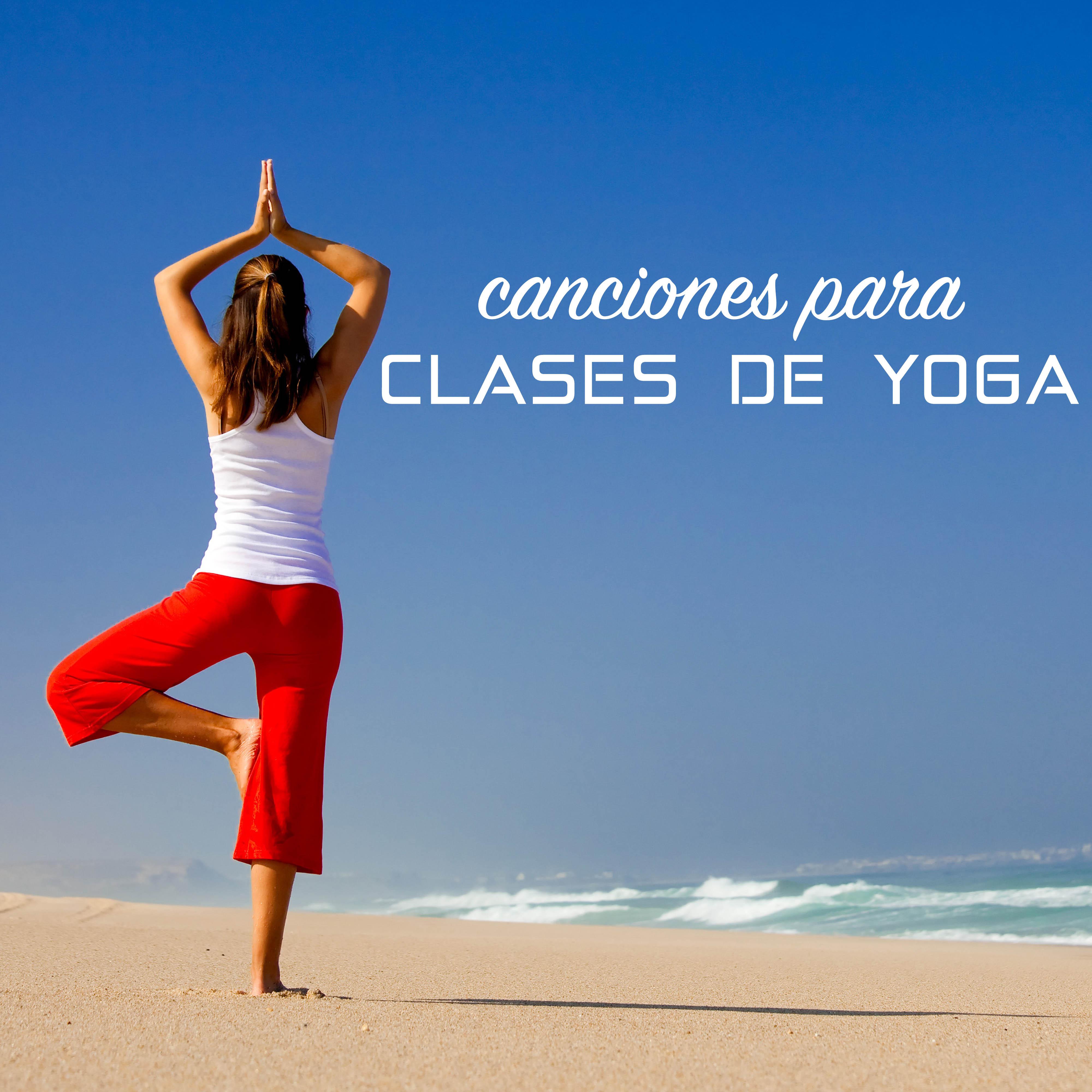 Canciones para Clases de Yoga - Sonidos de la Naturaleza y Ruido Blanco