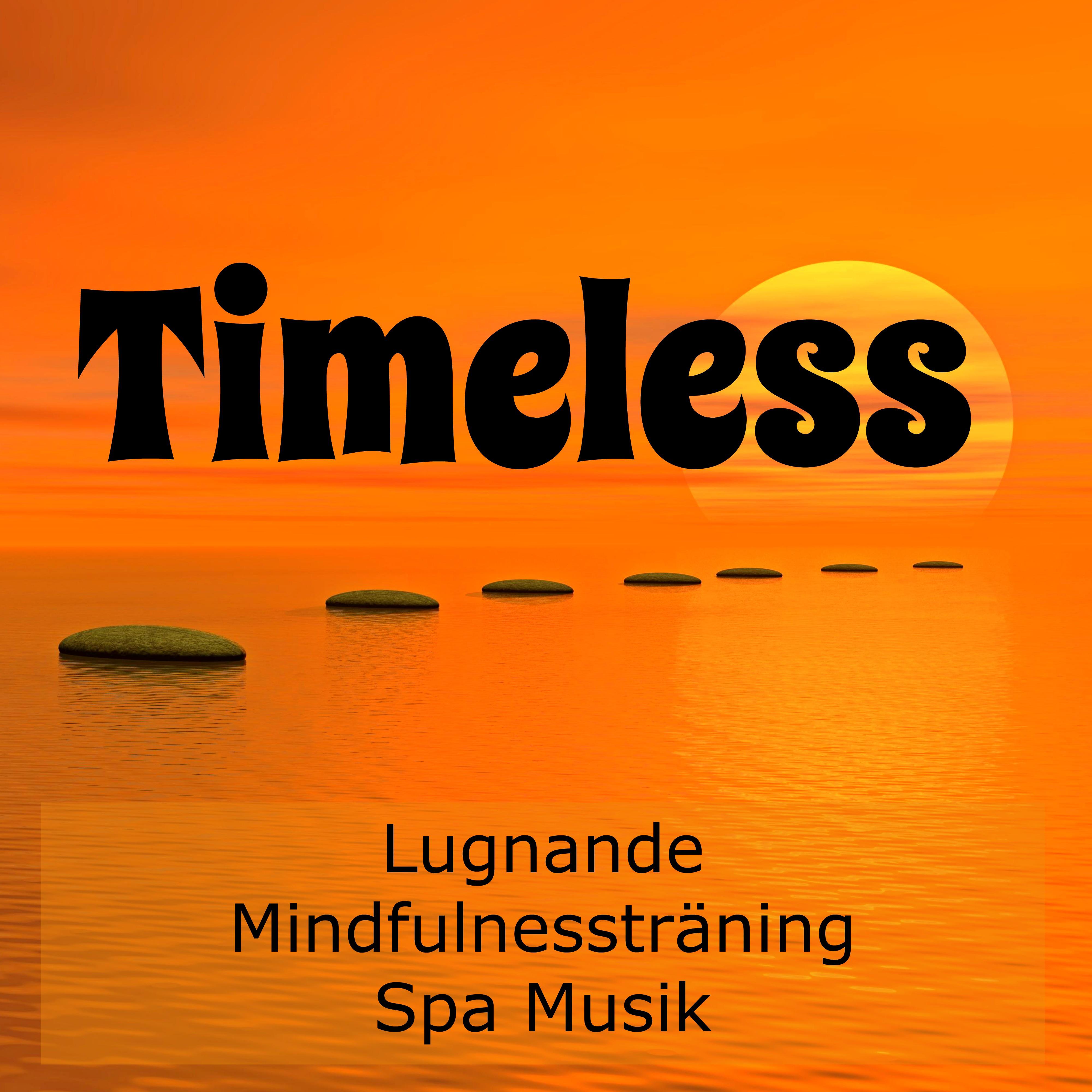 Timeless - Lugnande Mindfulnessträning Spa Musik för Andlig Healing Chakra Rensning Minska Ångest med Lugn Sömncykel Instrumental Ljud