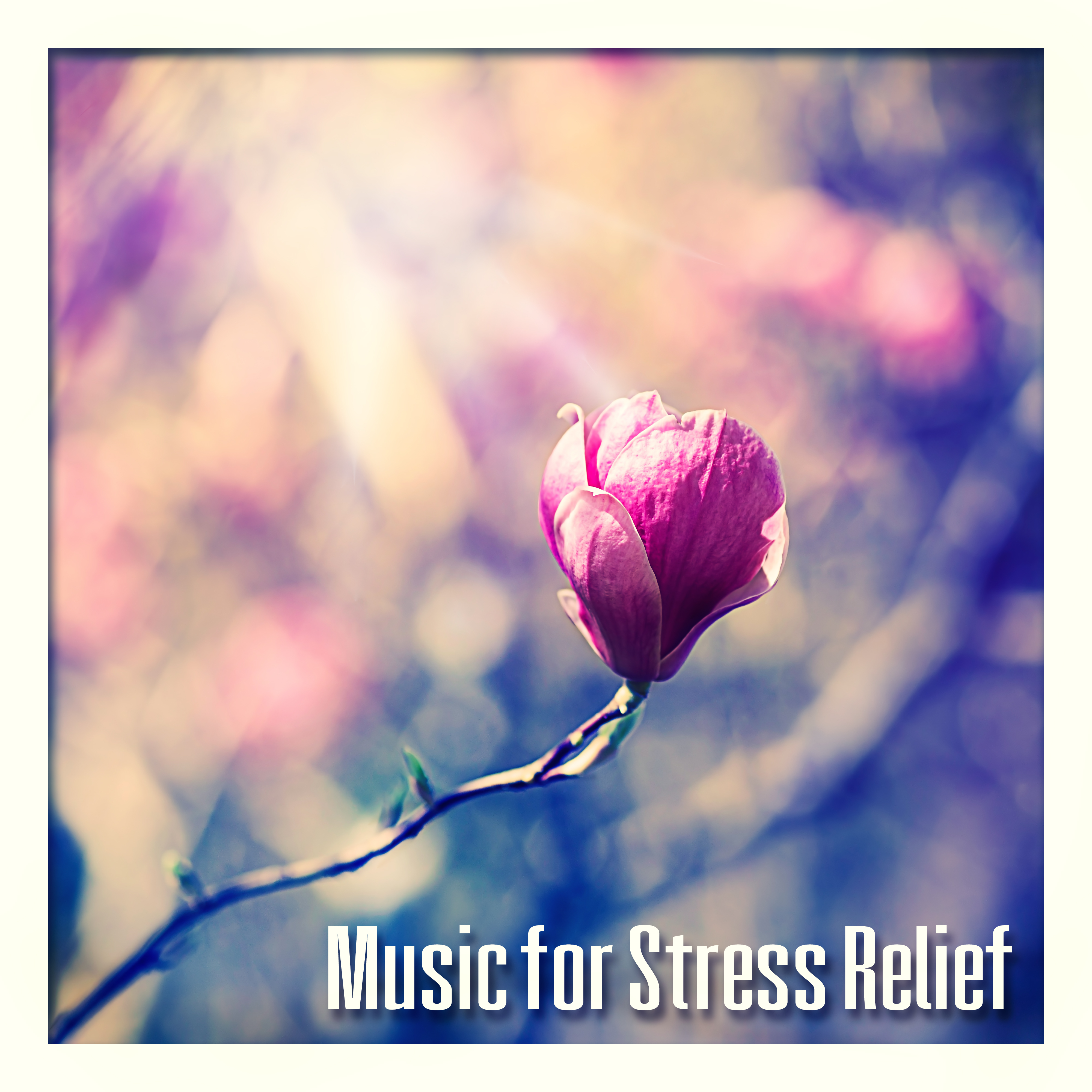 Music for Stress Relief – Sounds of Nature,  Relaxation Study, Reiki, Spa, Massage, Deep Sleep, Meditation, Yoga