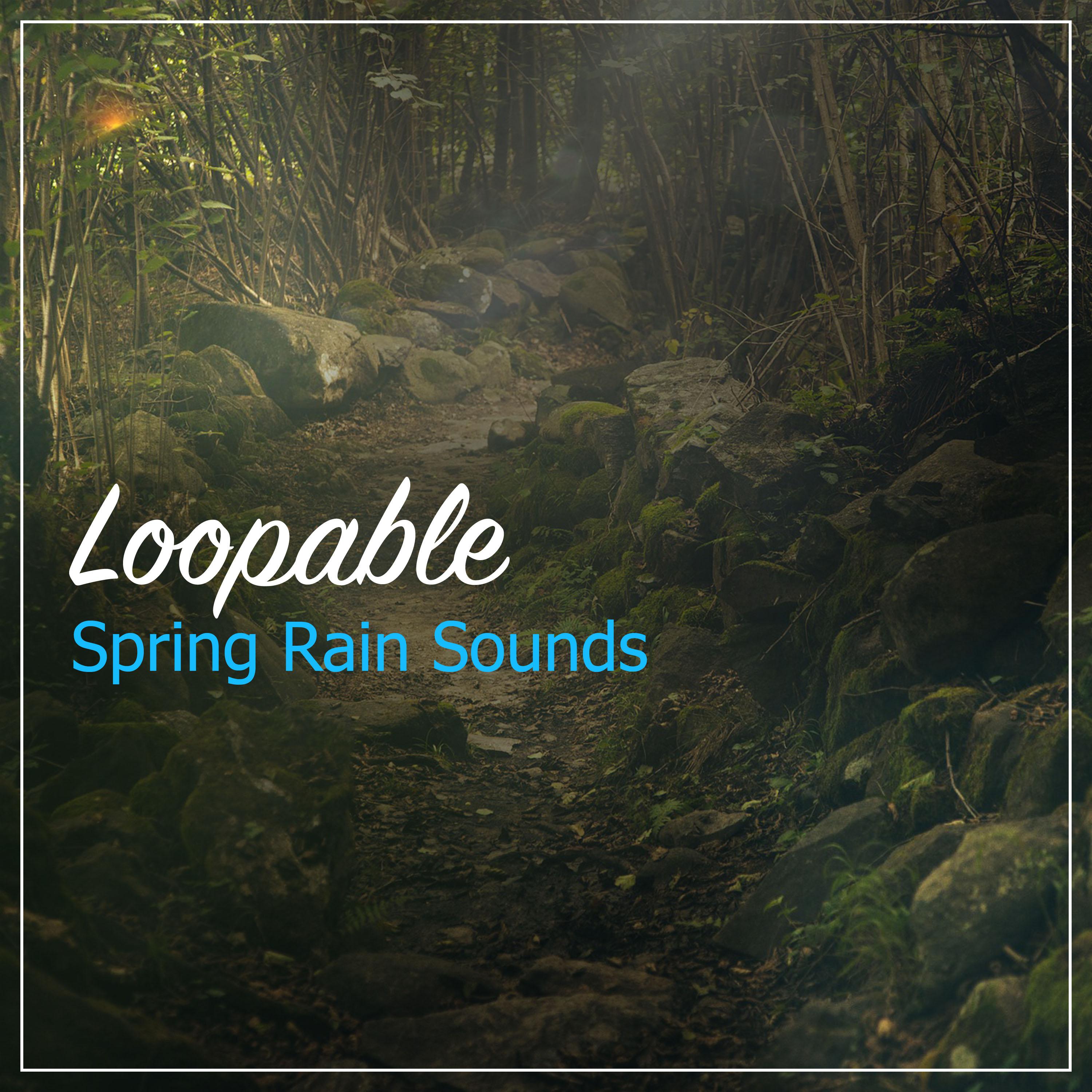 #20 Loopable Spring Rain Sounds