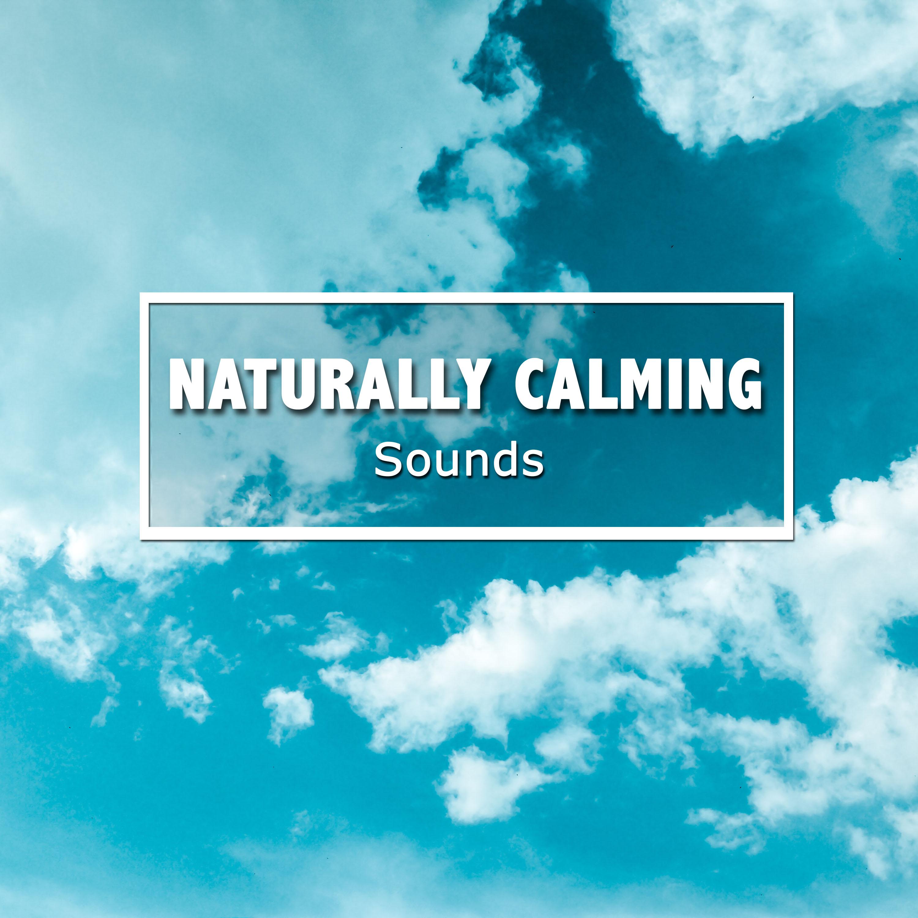 #19 Naturally Calming Sounds for Meditation