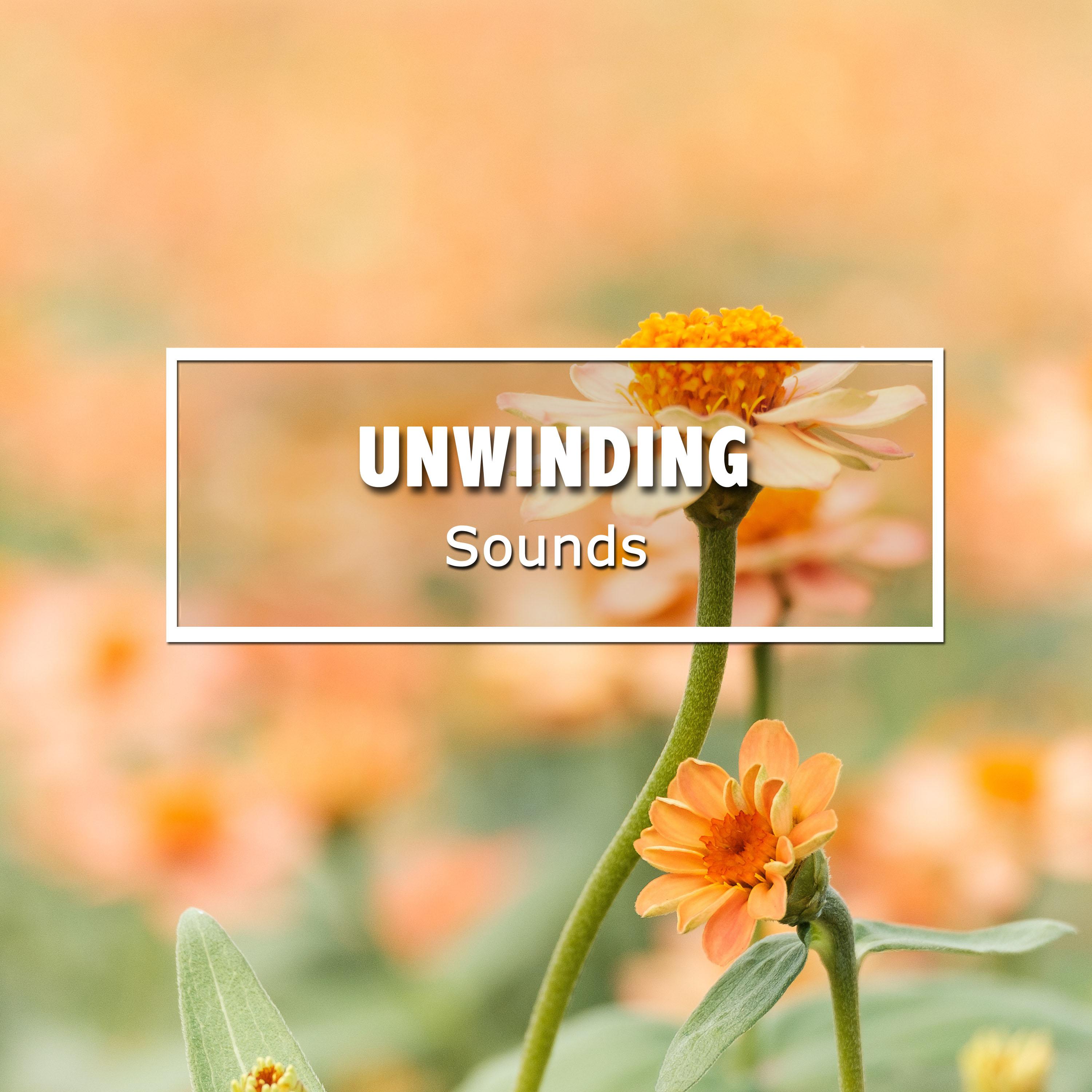 #9 Unwinding Sounds for Zen Spa
