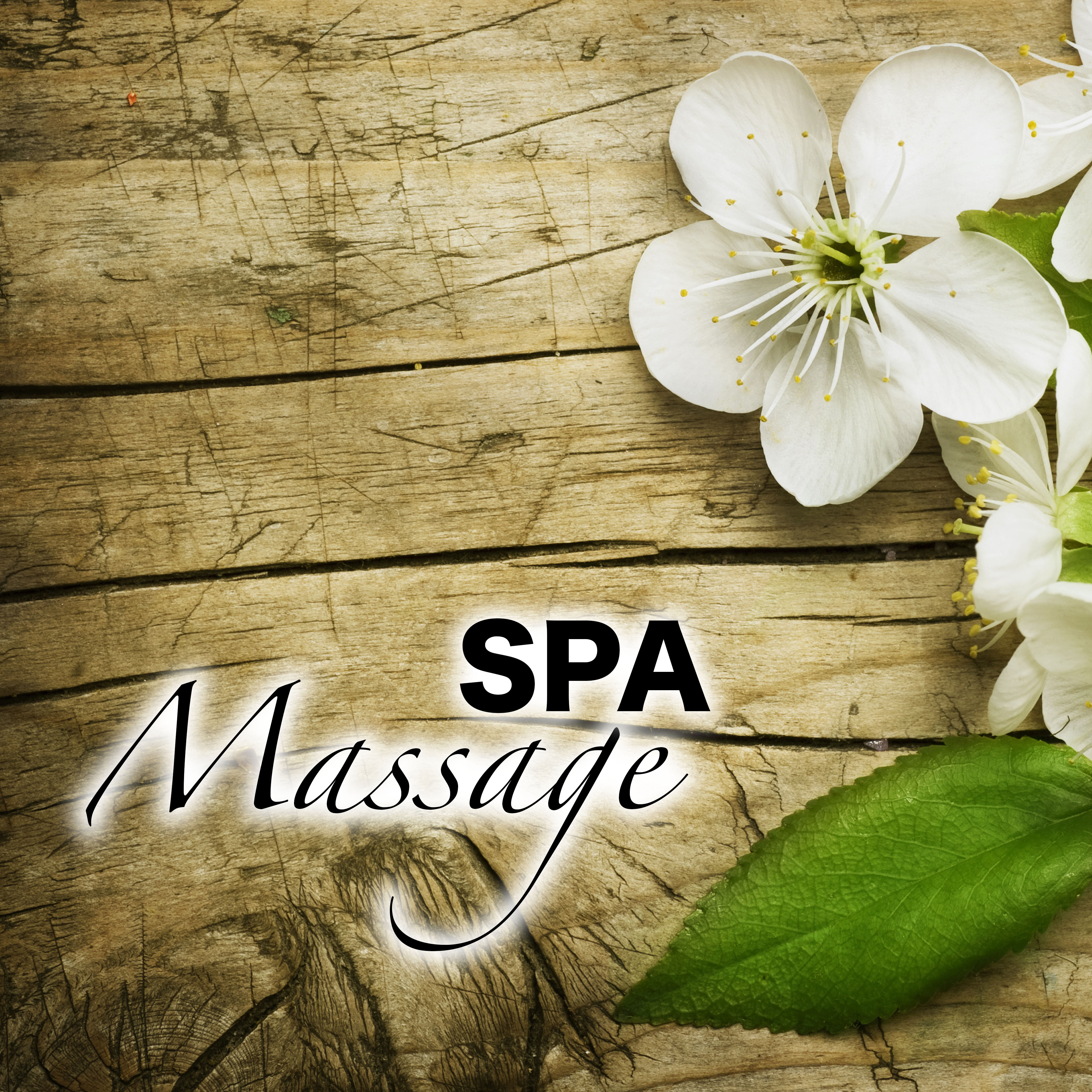 Spa Massage - Reiki, Spas Flutes Songs & Zen Relaxation Music, Native American Flute, Classical Tracks for Relax