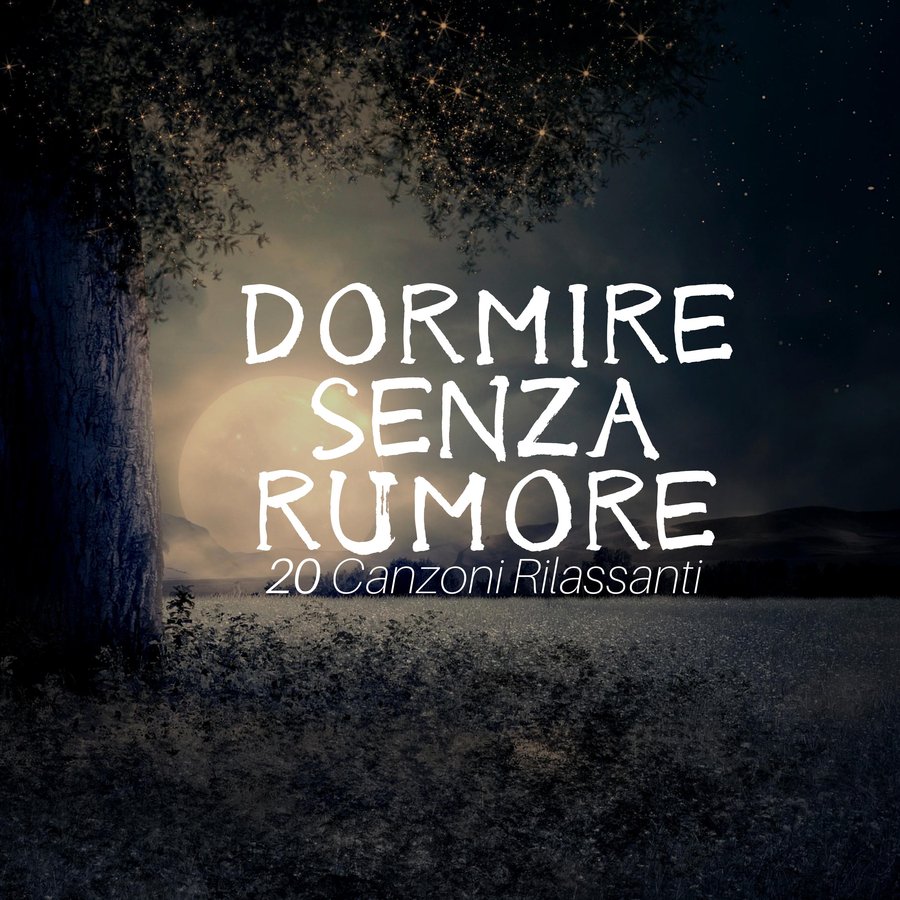 Dormire senza Rumore