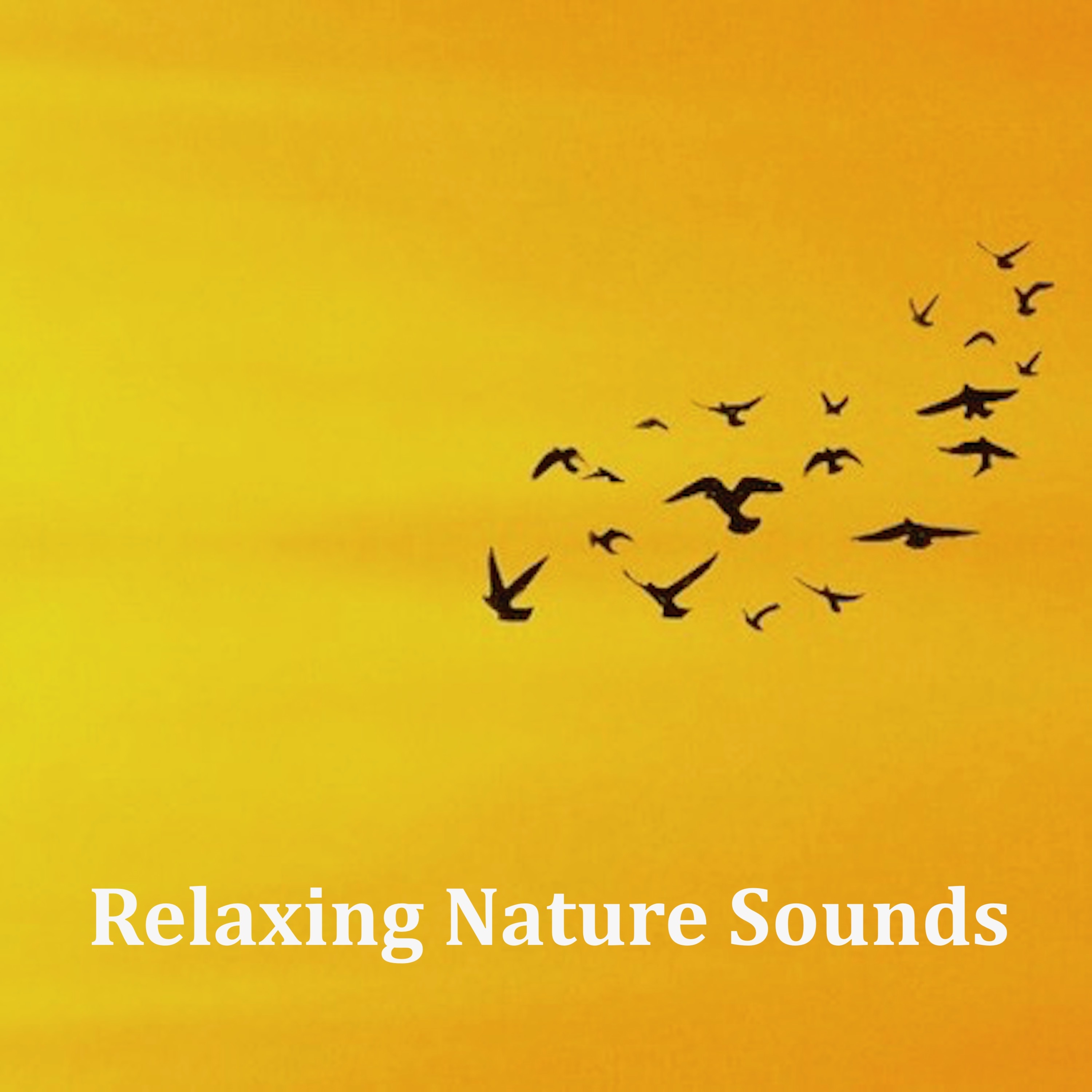 16 Relaxing Nature Sounds for Spa and Wellbeing