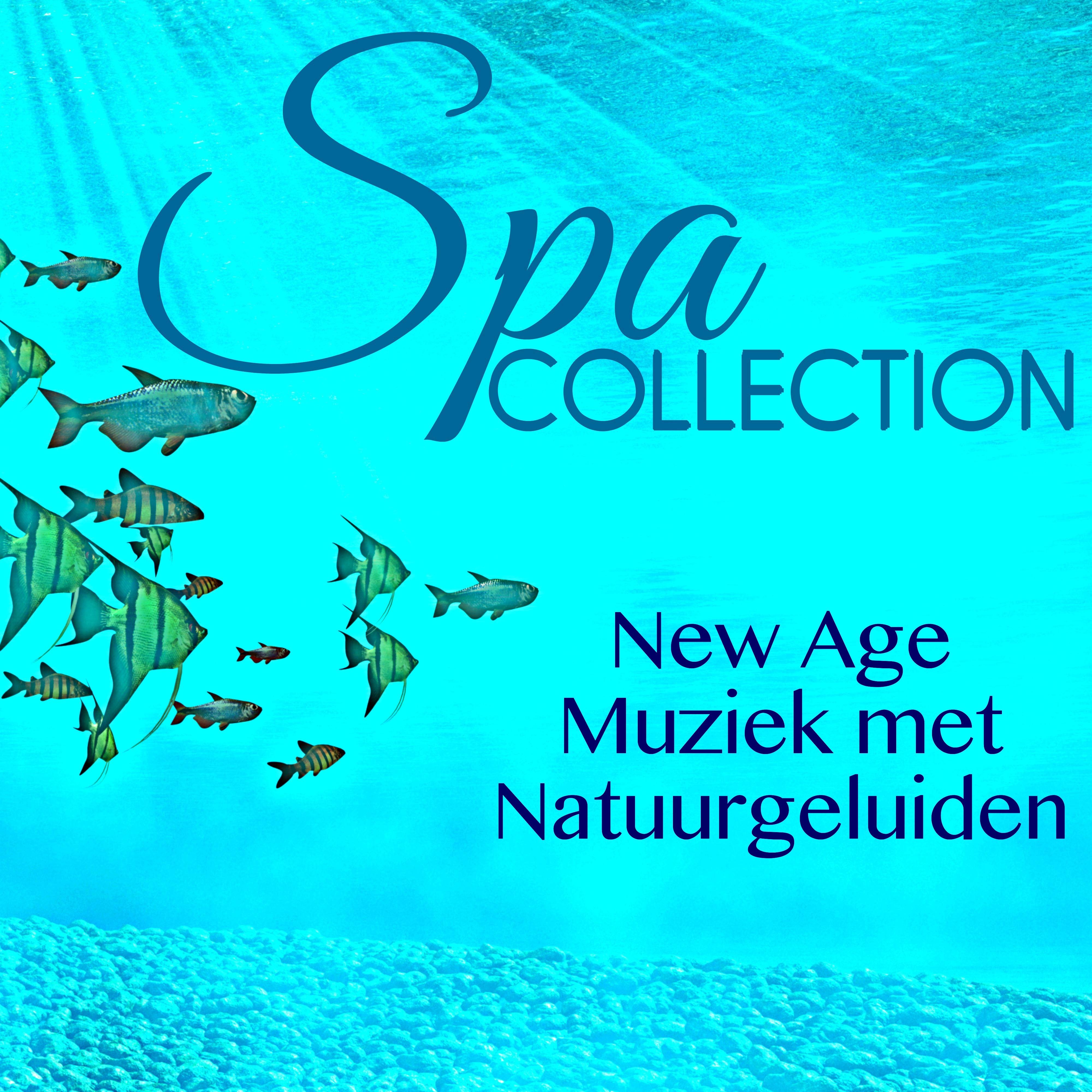 Spa Collection - New Age Muziek met Natuurgeluiden & Ambient Instrumentale Chillout Muziek Collectie voor Ontspanningsmassage, Welzijn & Bio-Energie, Zen Spa Meditatie
