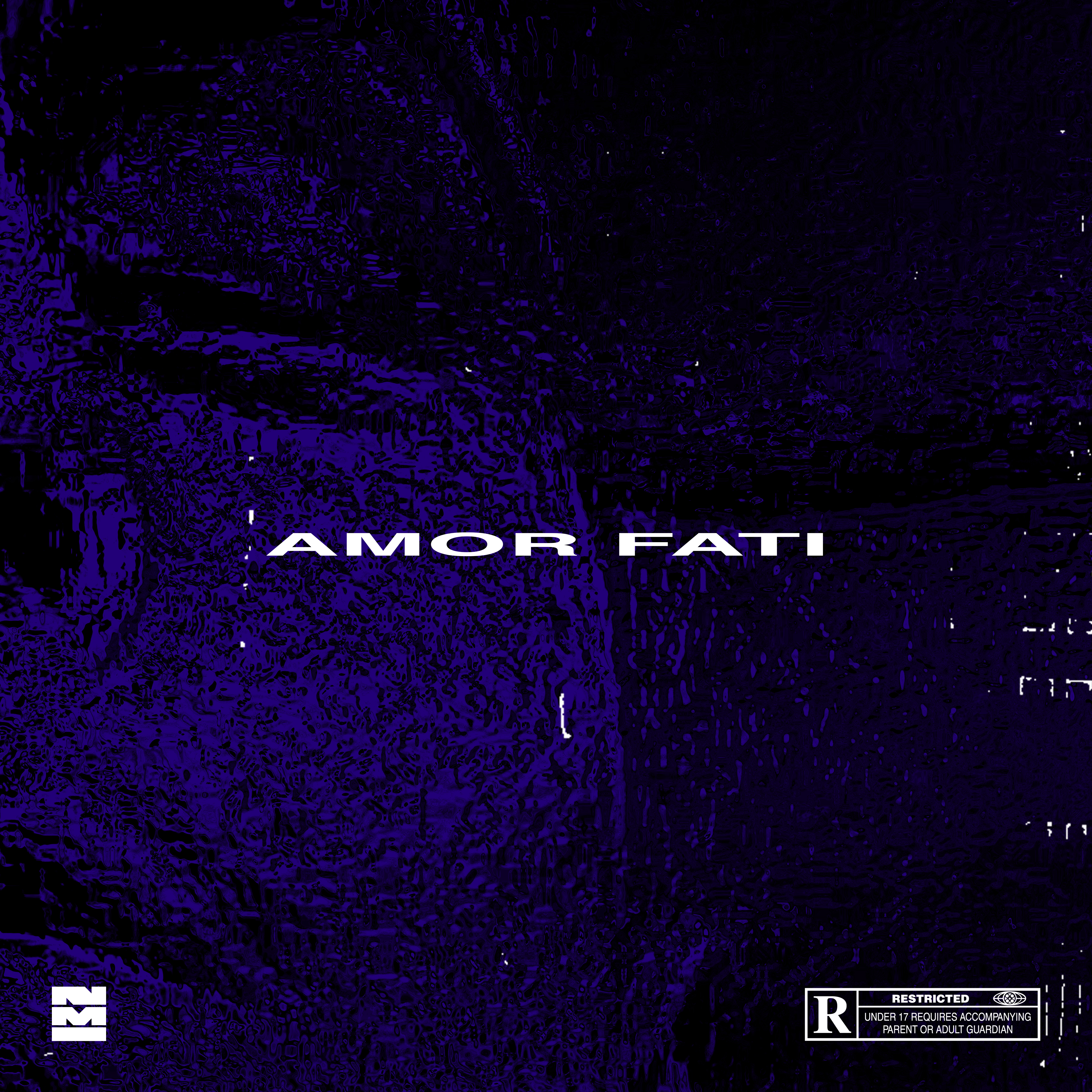 Amor fati