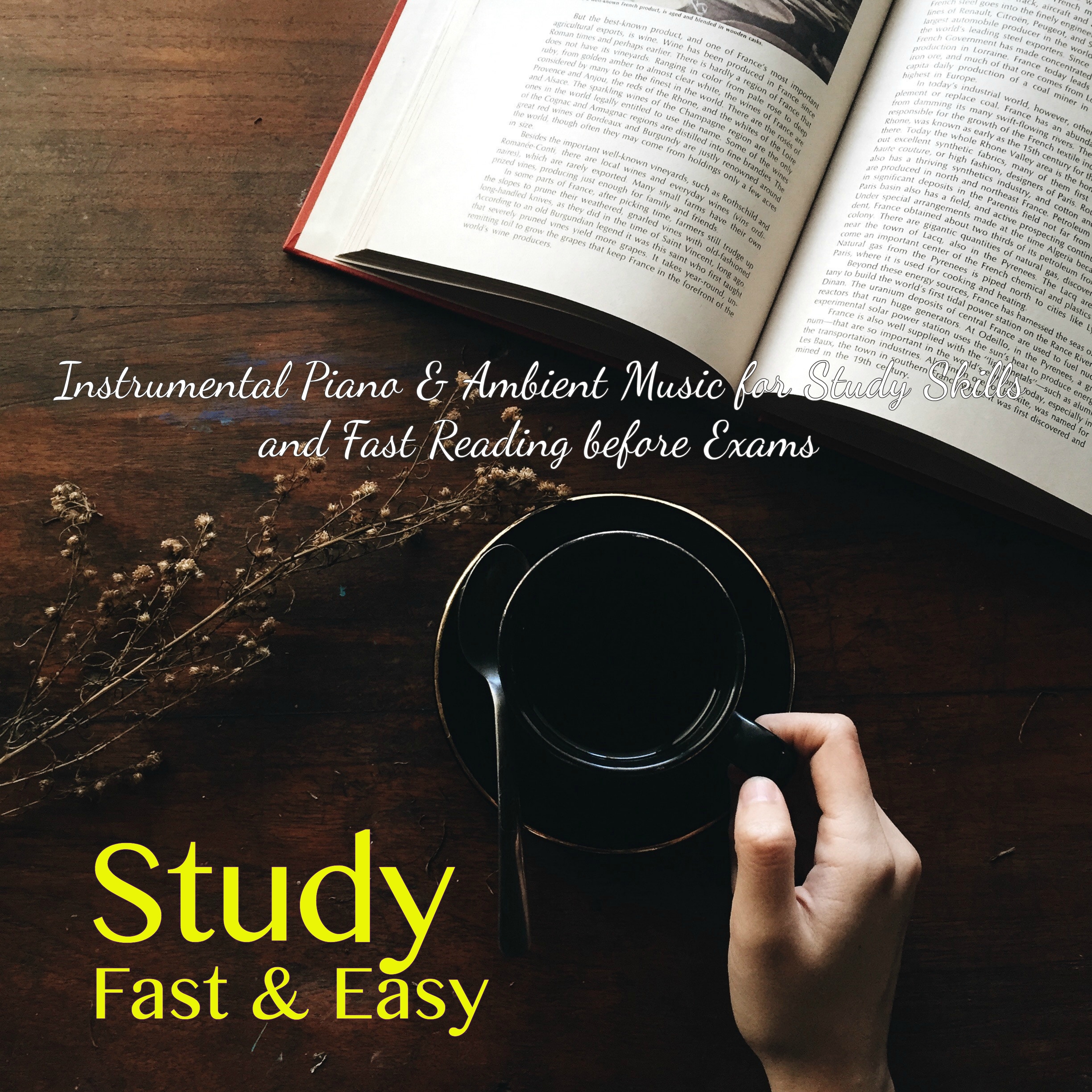 Study Fast & Easy – Instrumental Piano & Ambient Music for Study Skills and Fast Reading before Exams