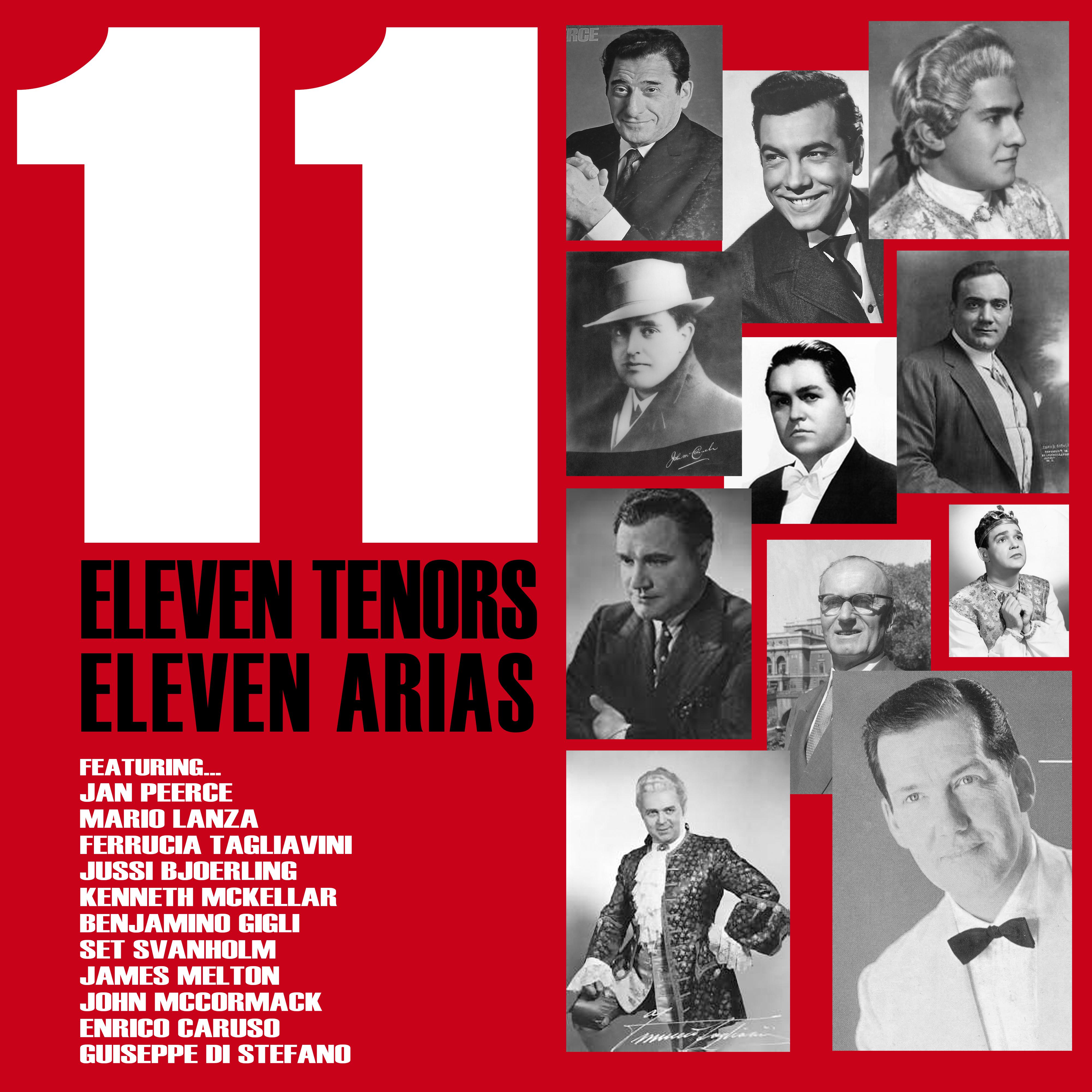 Eleven Tenors, Eleven Arias