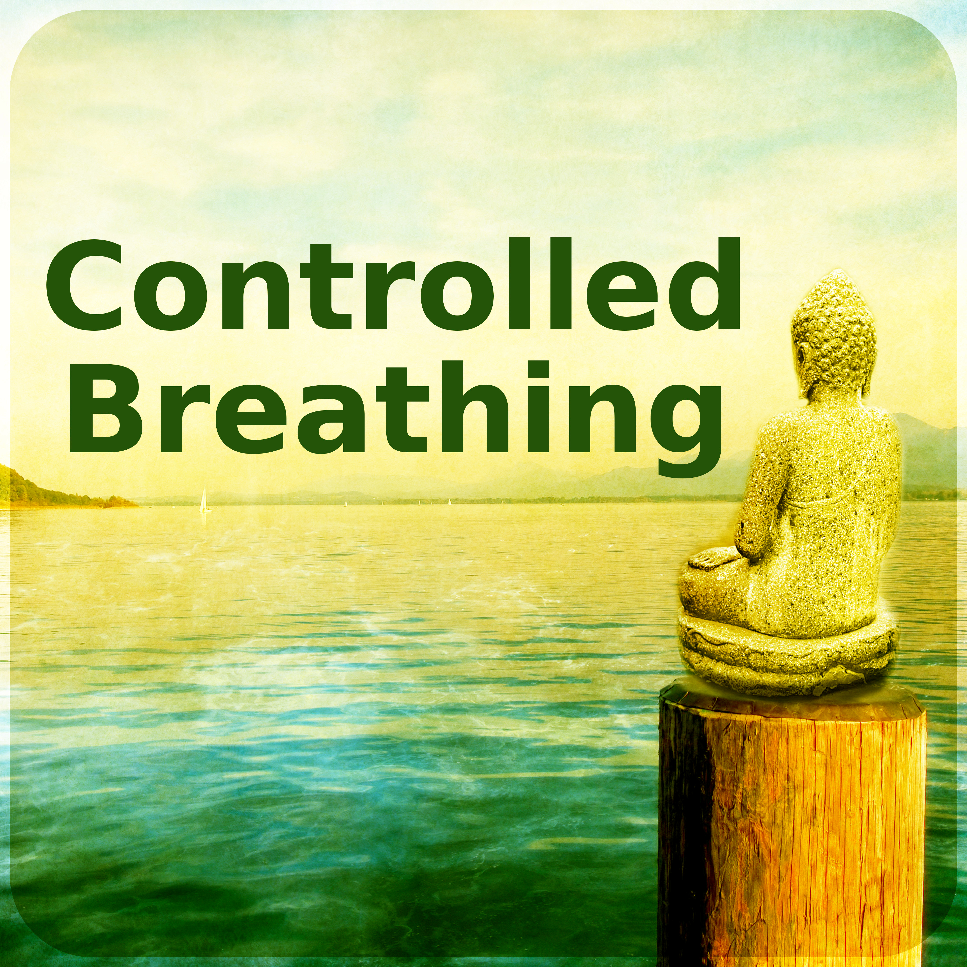 Controlled Breathing – Calm Nature Sounds to Relieve Stress, Music for Mindfulness Meditation & Relaxation, Hindu Yoga, Instrumental Music