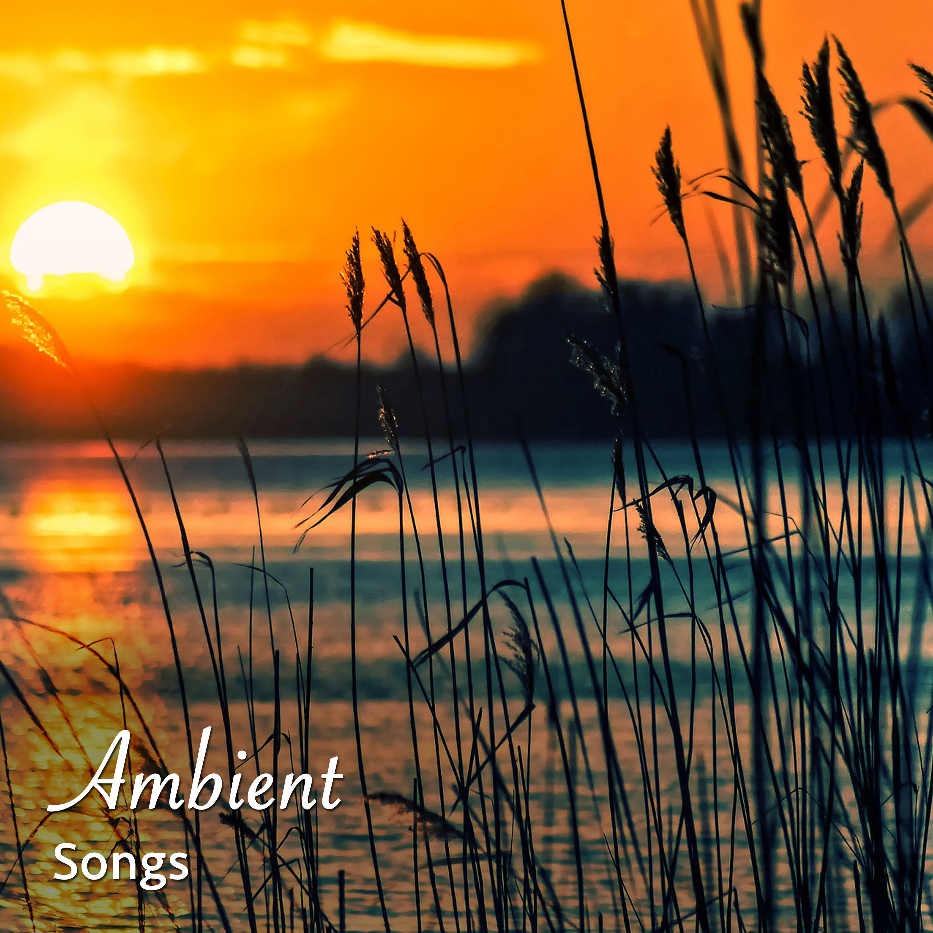 #15 Ambient Songs to Aid Sleep & Dreams