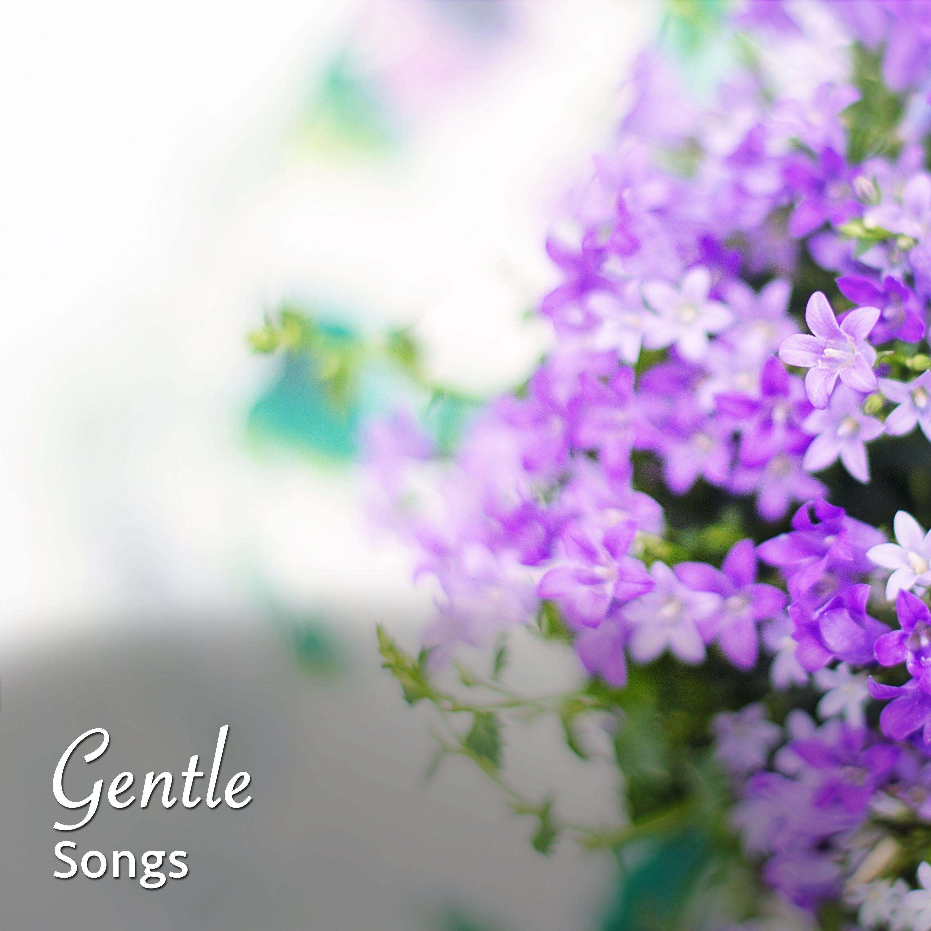 #16 Gentle Songs for Asian Spa, Meditation & Yoga