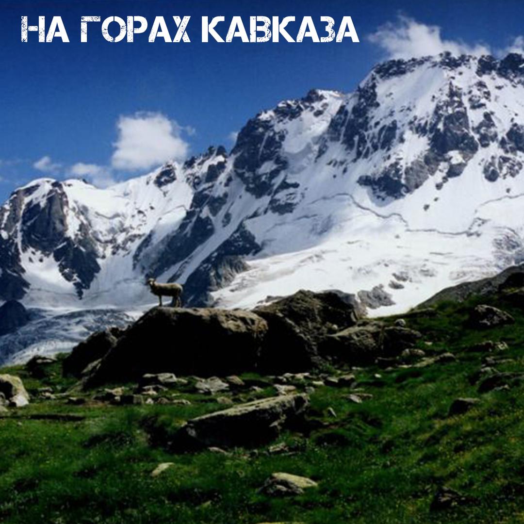 На горах Кавказа