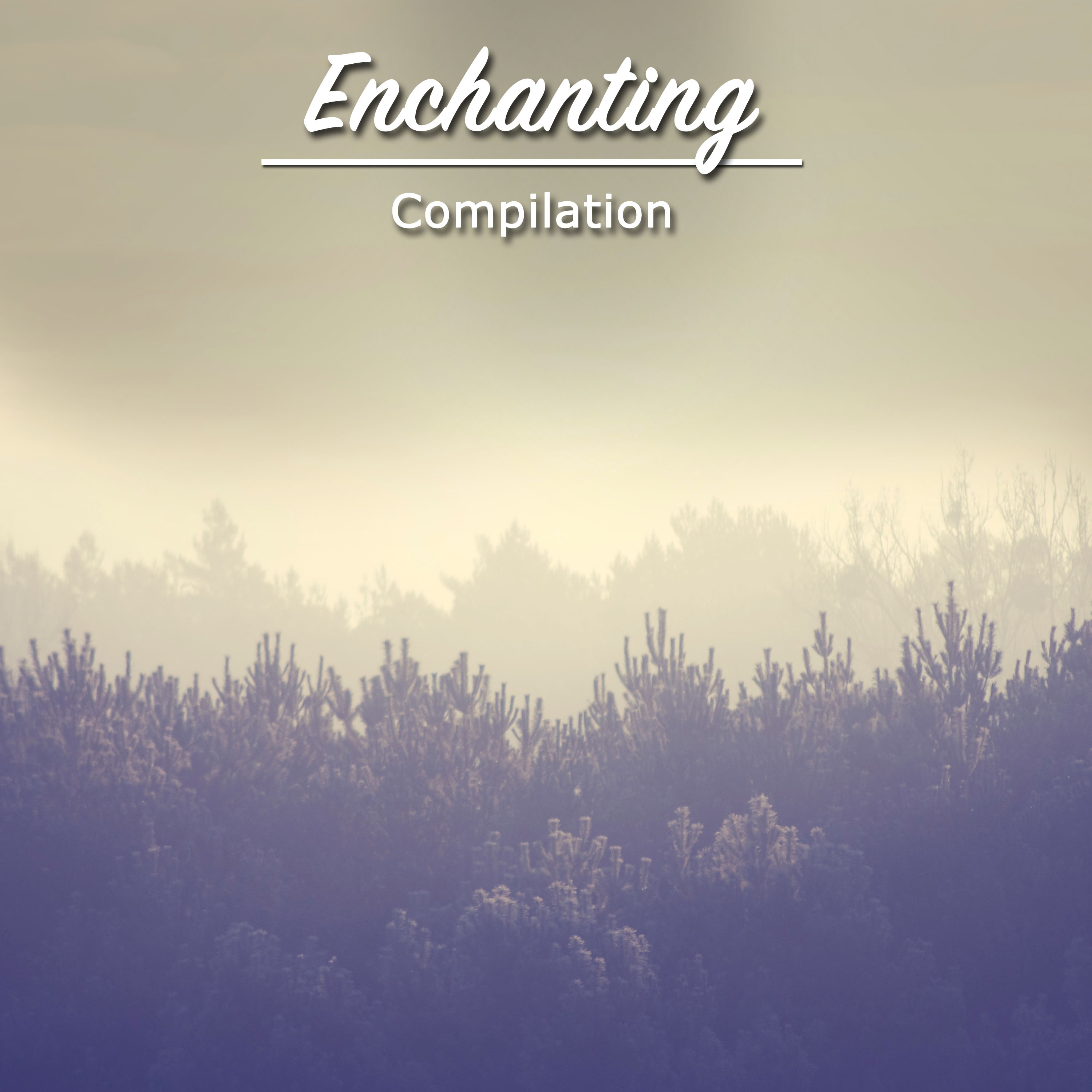 #22 Enchanting Compilation for Meditation