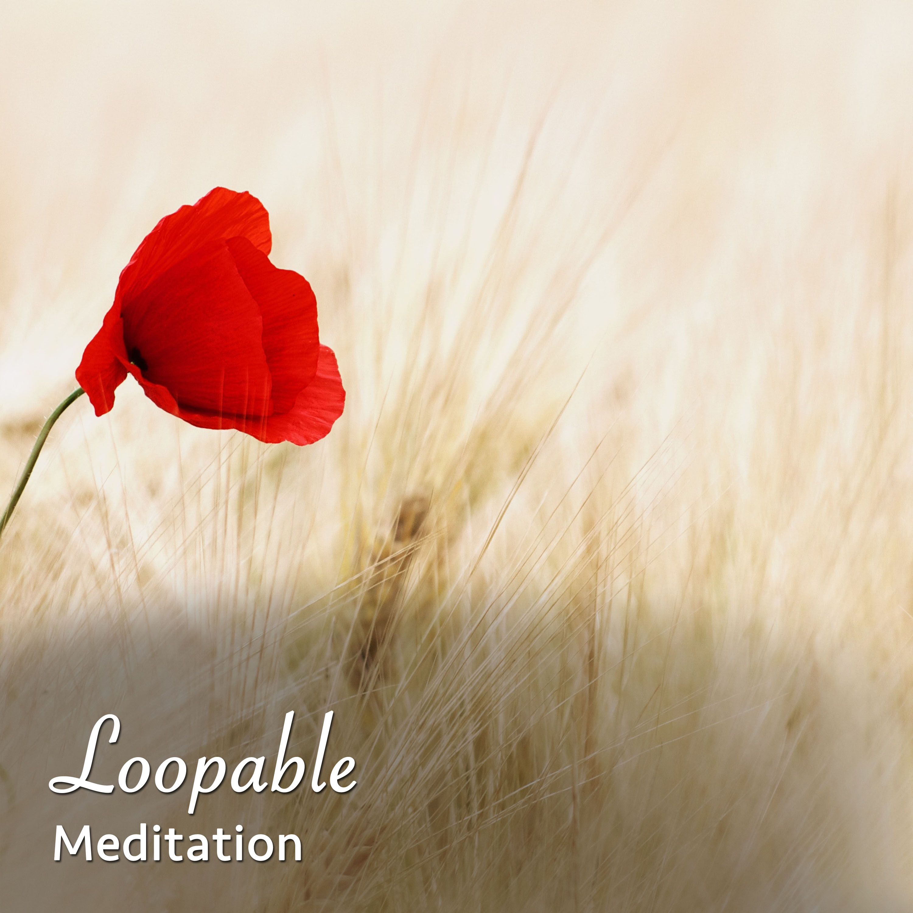#15 Memorable Noises for Meditation, Spa and Relaxation