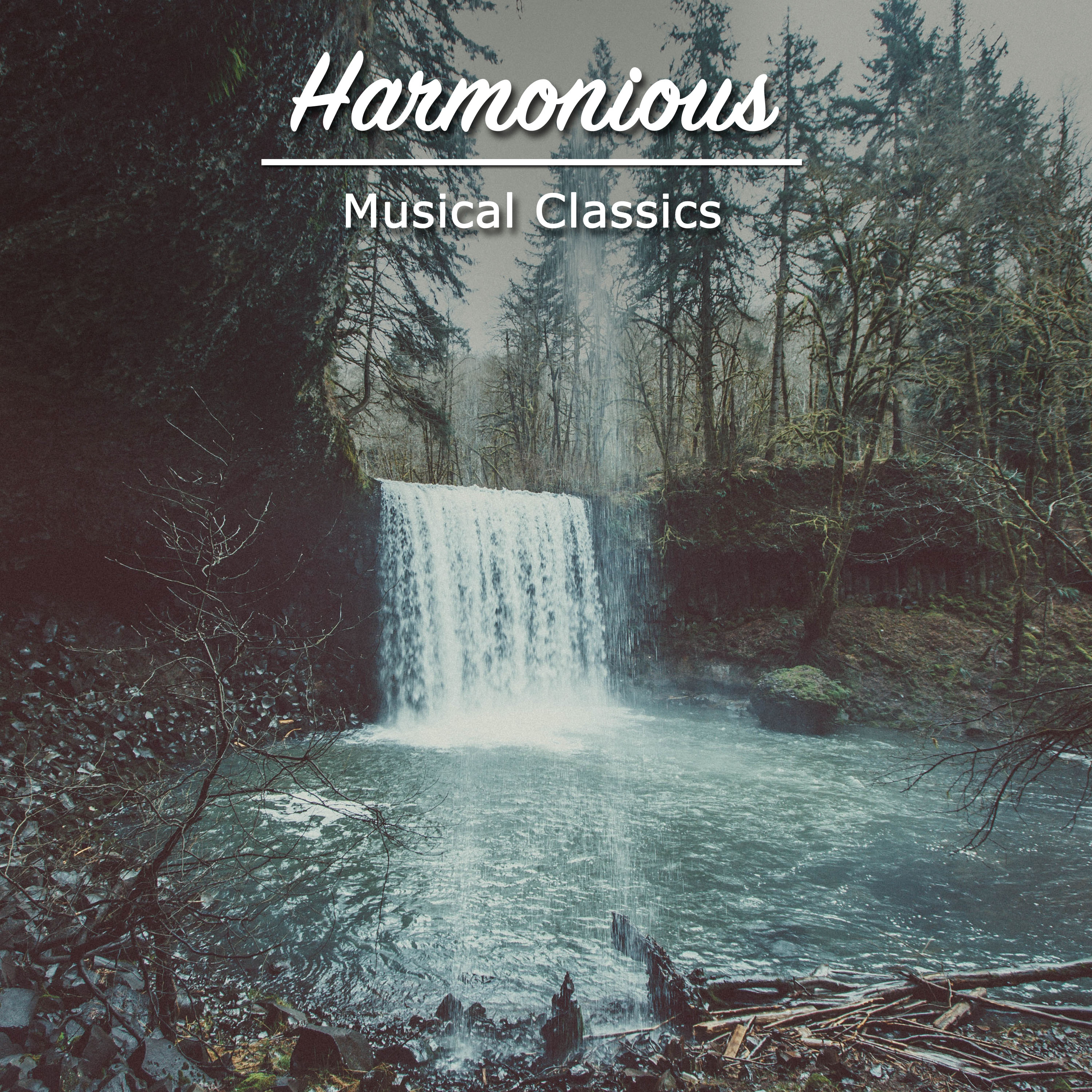 #15 Harmonious Musical Classics for Buddhist Meditation & Relaxation