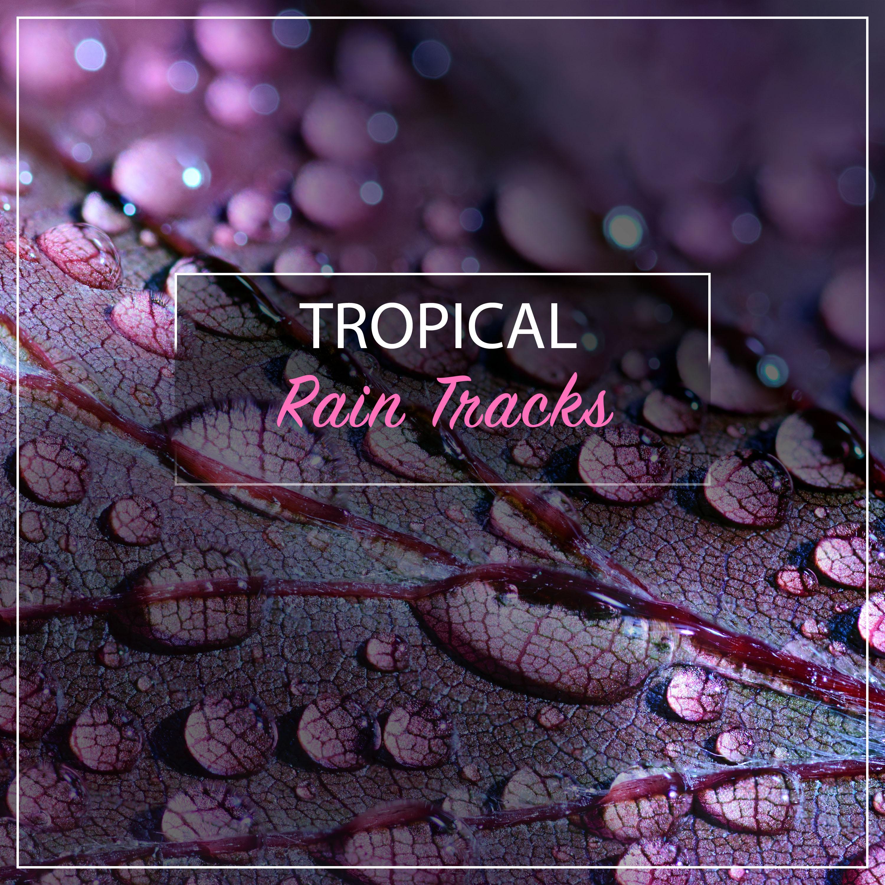 #2019 Tropical Rain Tracks