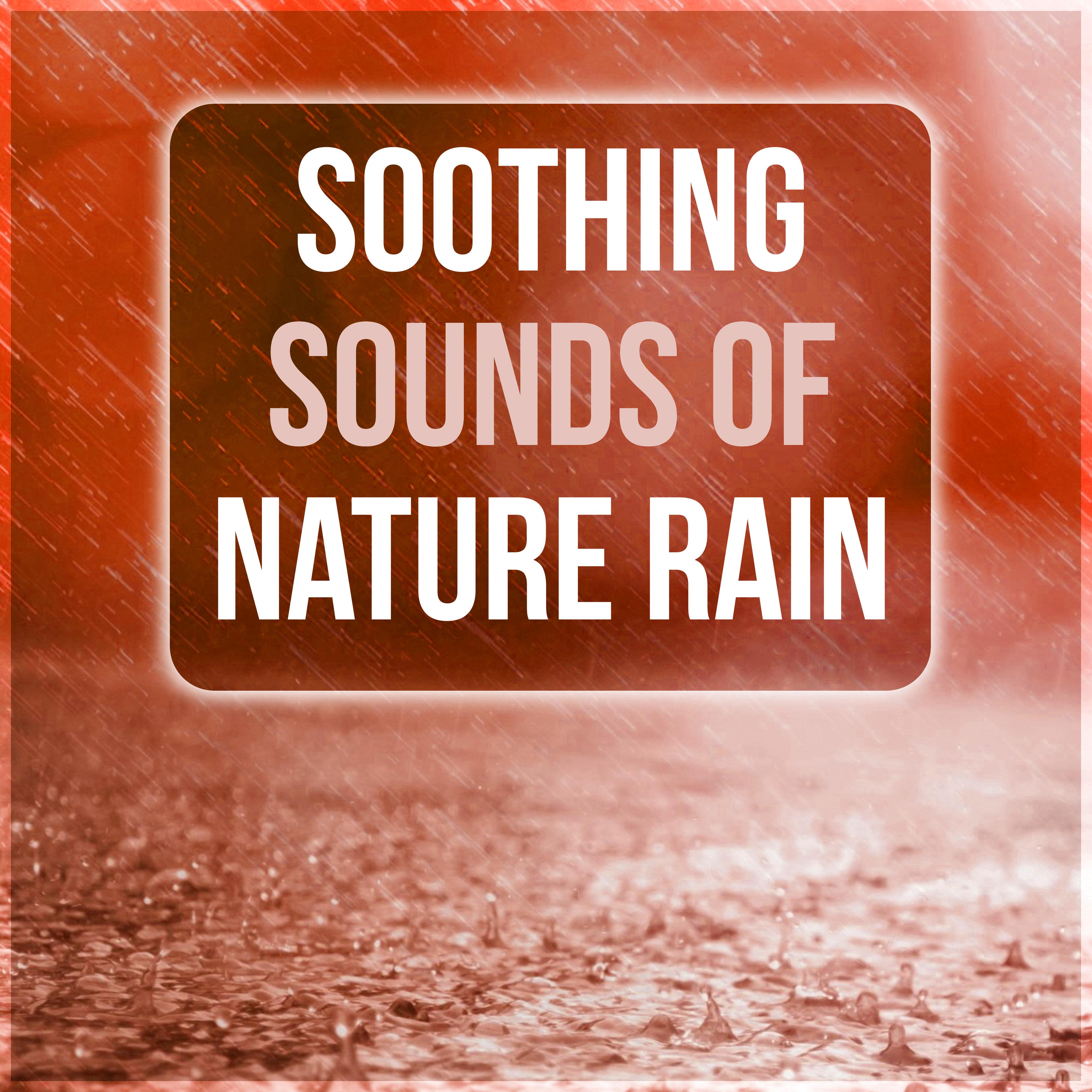 Soothing Sounds of Nature Rain - New Age Music for Training and Meditation, Calming Nature Sounds, Background Music for Massage Therapy