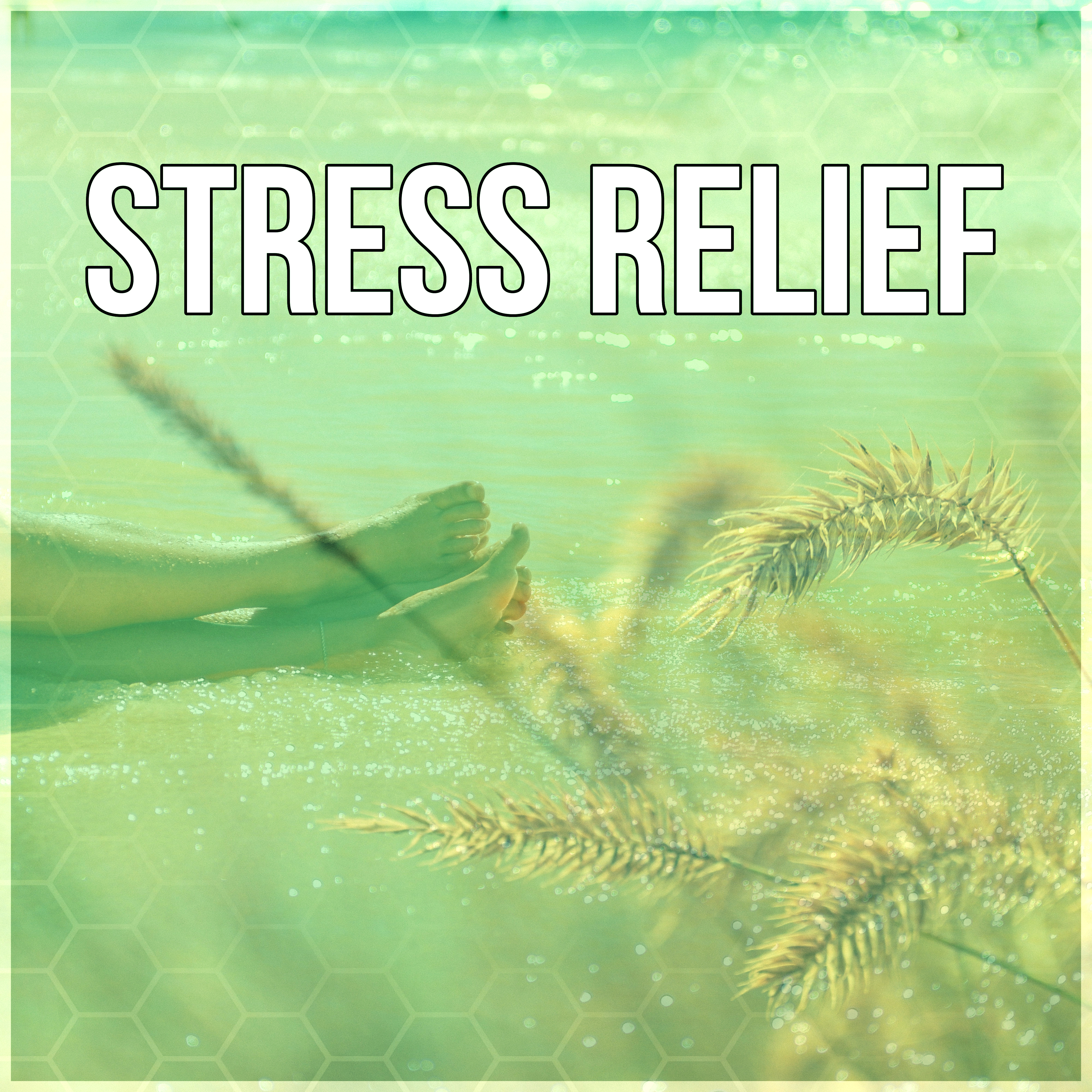 Stress Relief - Pure Nature Sounds, Spiritual Healing, Nature Sounds, Mindfulness Meditation, Harmony, New Age Music