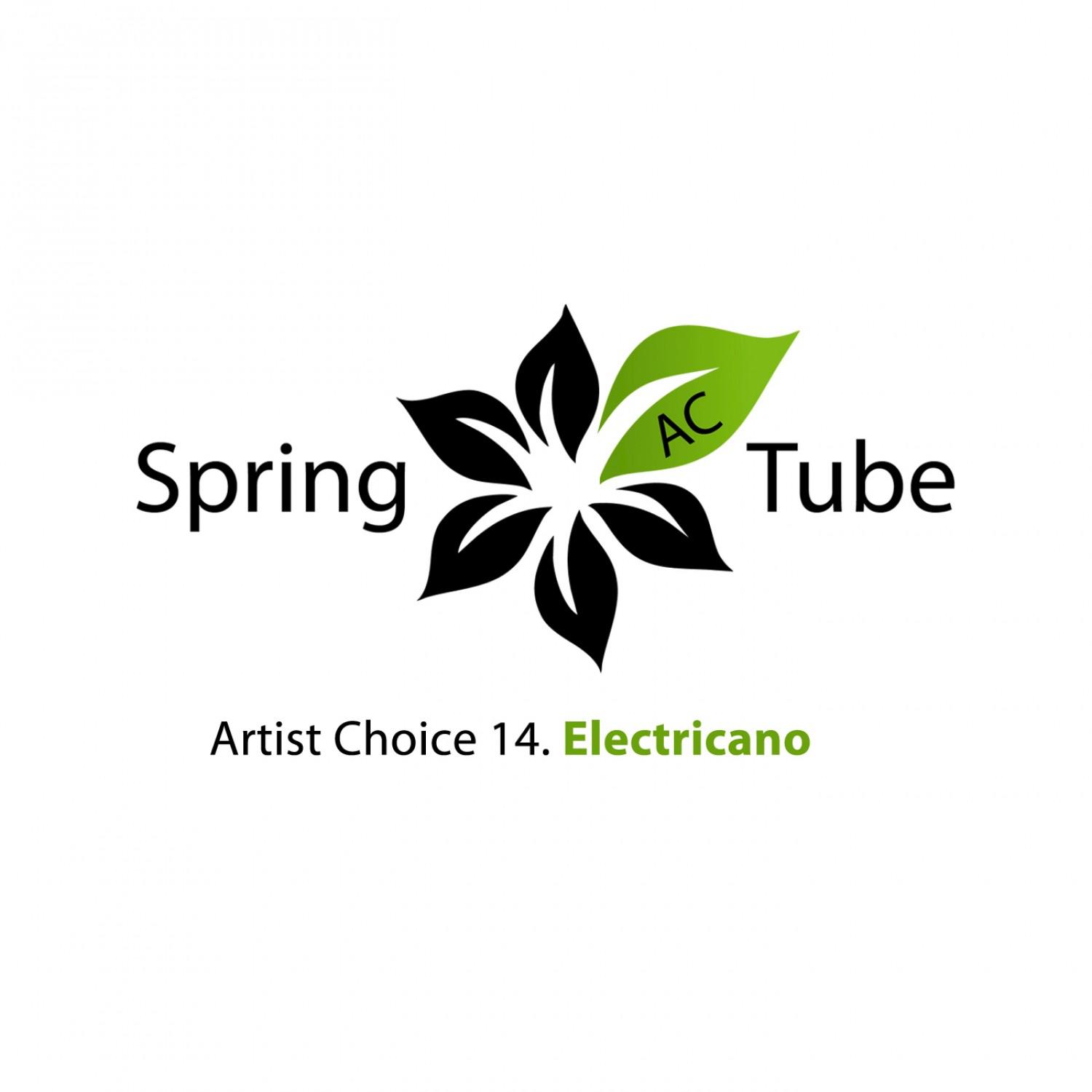 Artist Choice 014. Electricano