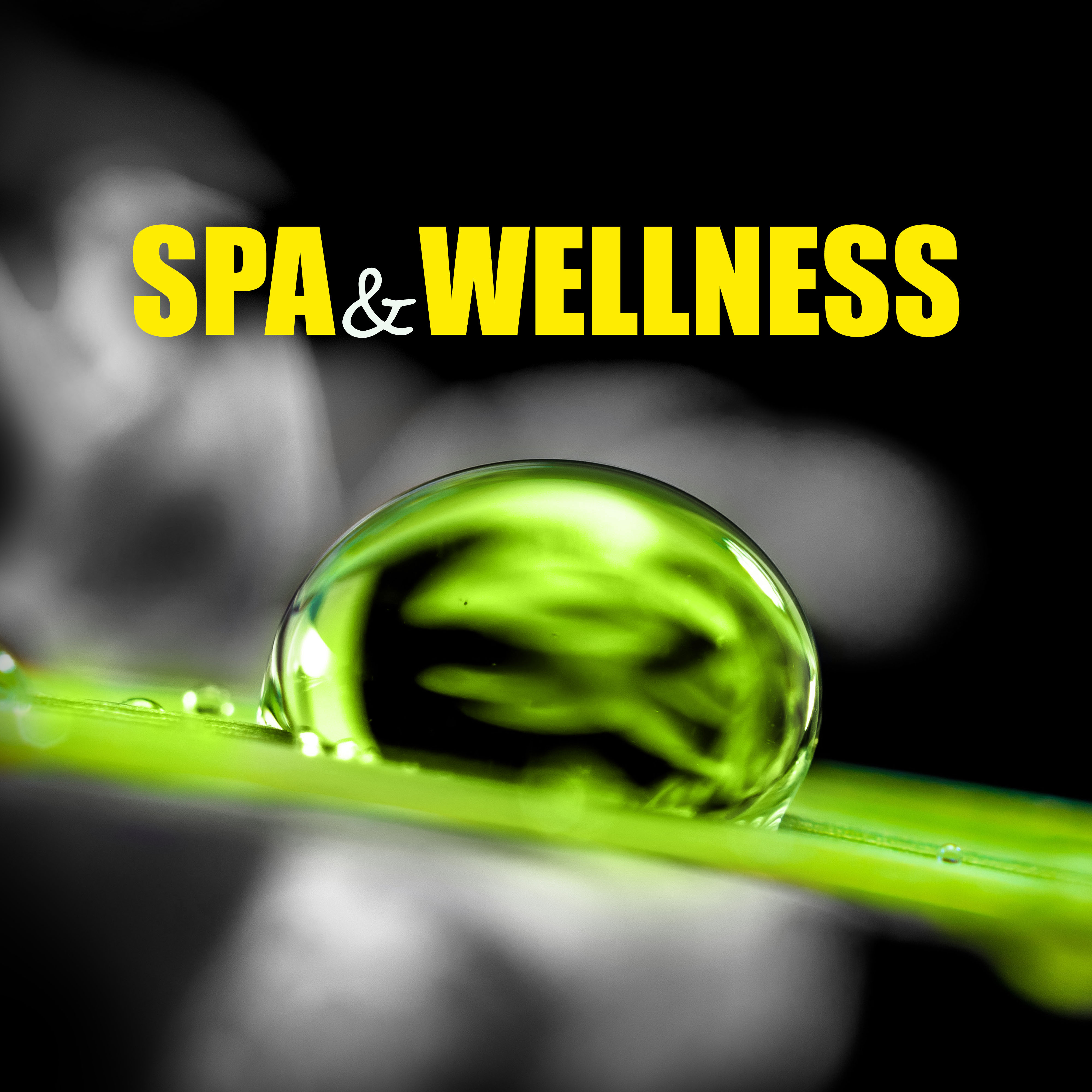 Spa&Wellness - Sound Therapy, Music for Relaxation, Calm Music for Meditation, Sounds of Nature, Relaxing Spa Music, Massage Music