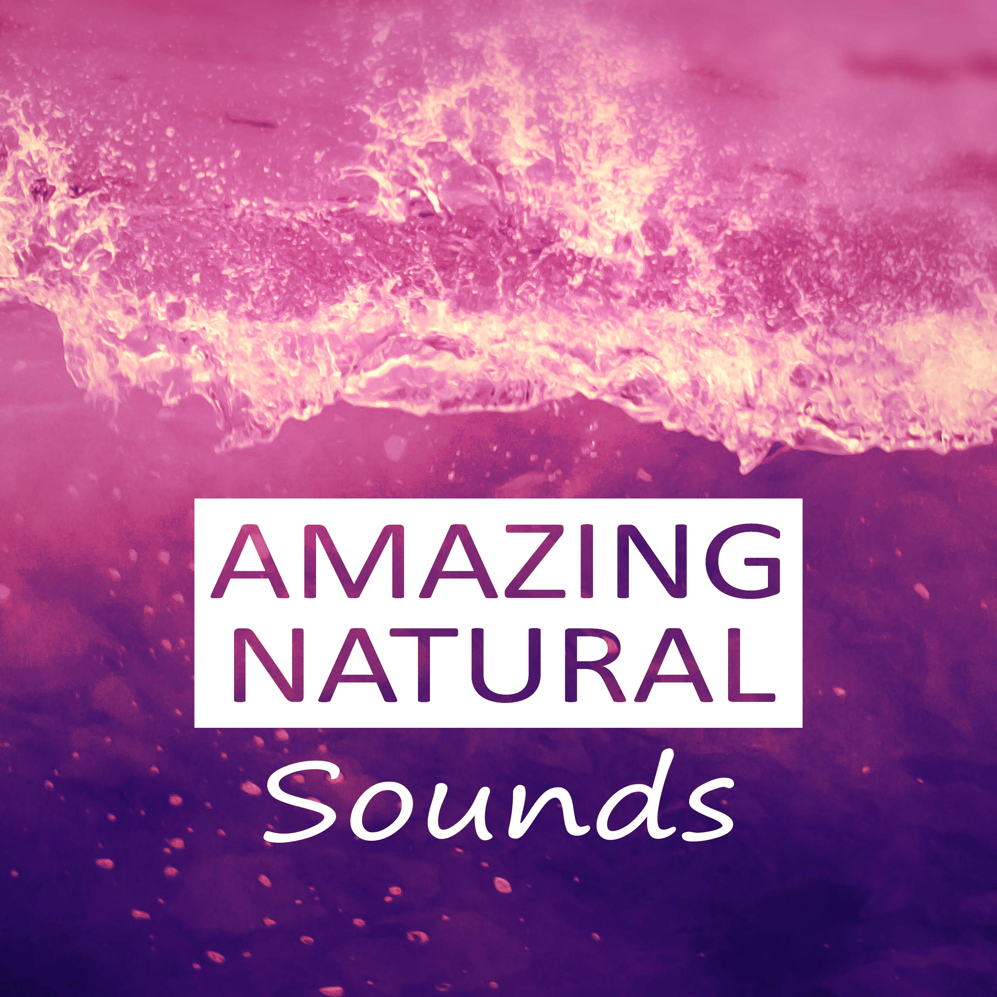 Amazing Natural Sounds - Sea of Tranquility, Relaxing Soothing Instrumental Pieces, Healing Nature Music, Background Music for Relax