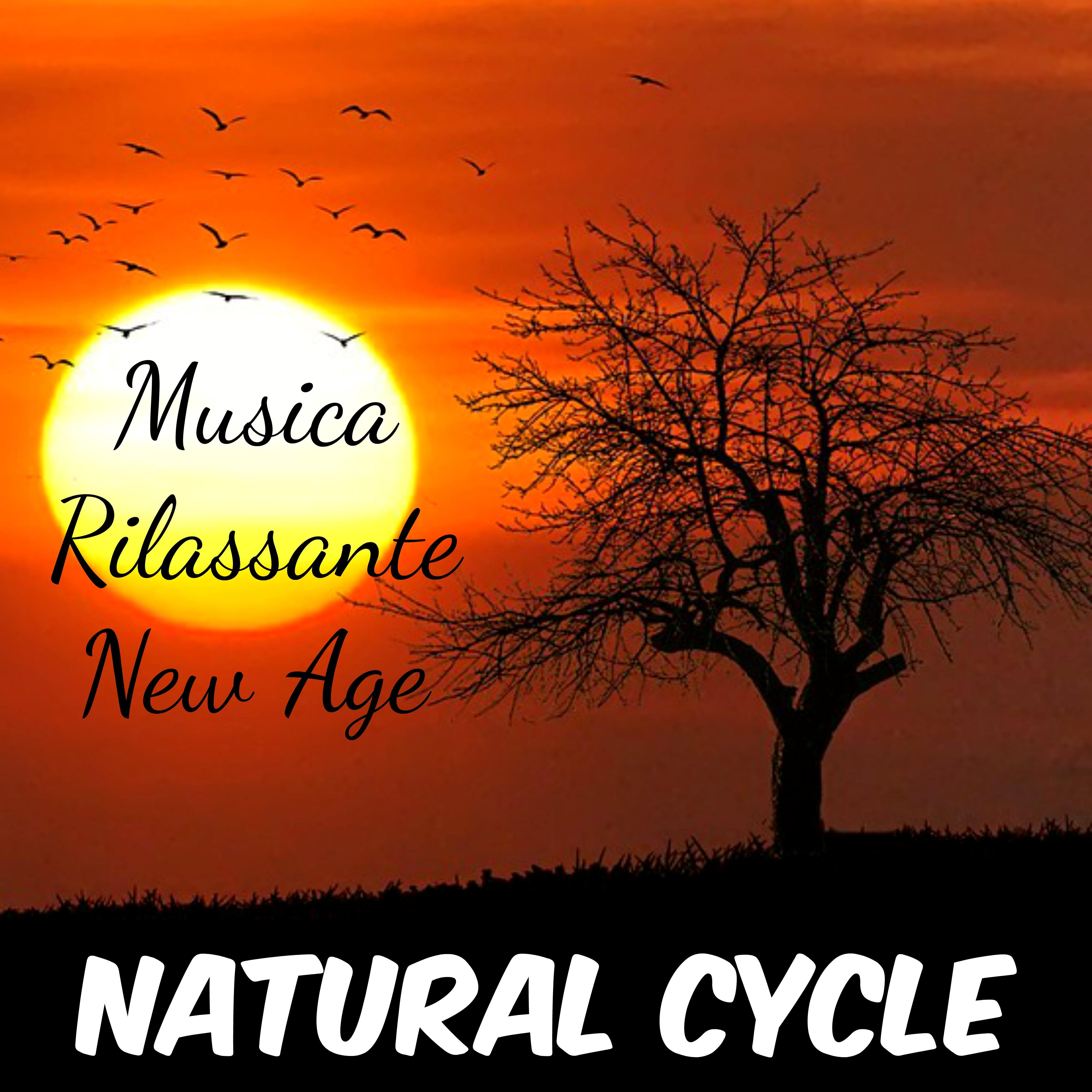 Natural Cycle - Musica Rilassante New Age della Natura per Rilassamento Profondo Allenare la Mente Meditazione Yoga con Suoni Valmanti Strumentali Binaurali