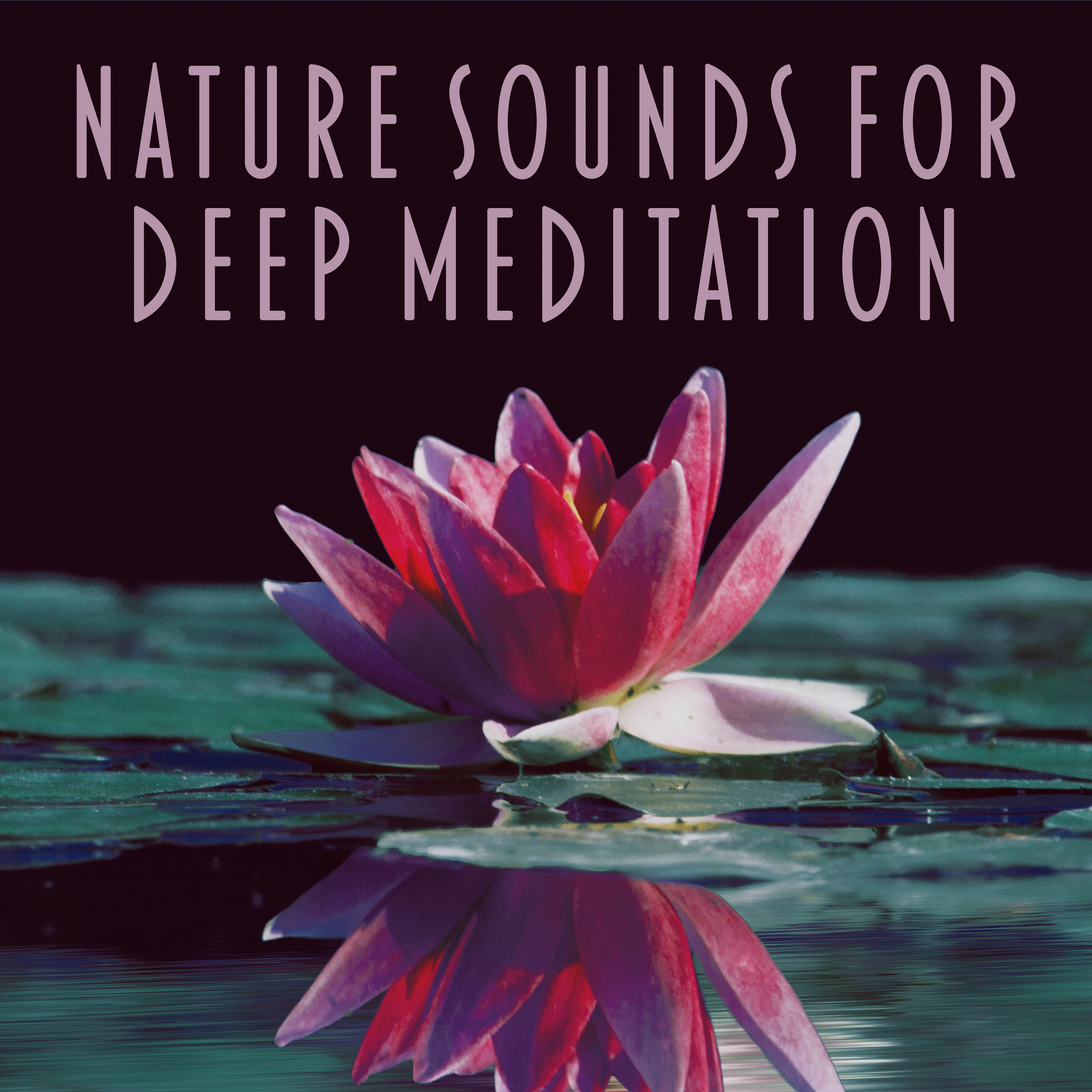 Nature Sounds for Deep Meditation – Training Yoga, Mantra, Zen Music, Peaceful Mind, Relax, Healing Nature, Deep Concentration, Chakra Balancing