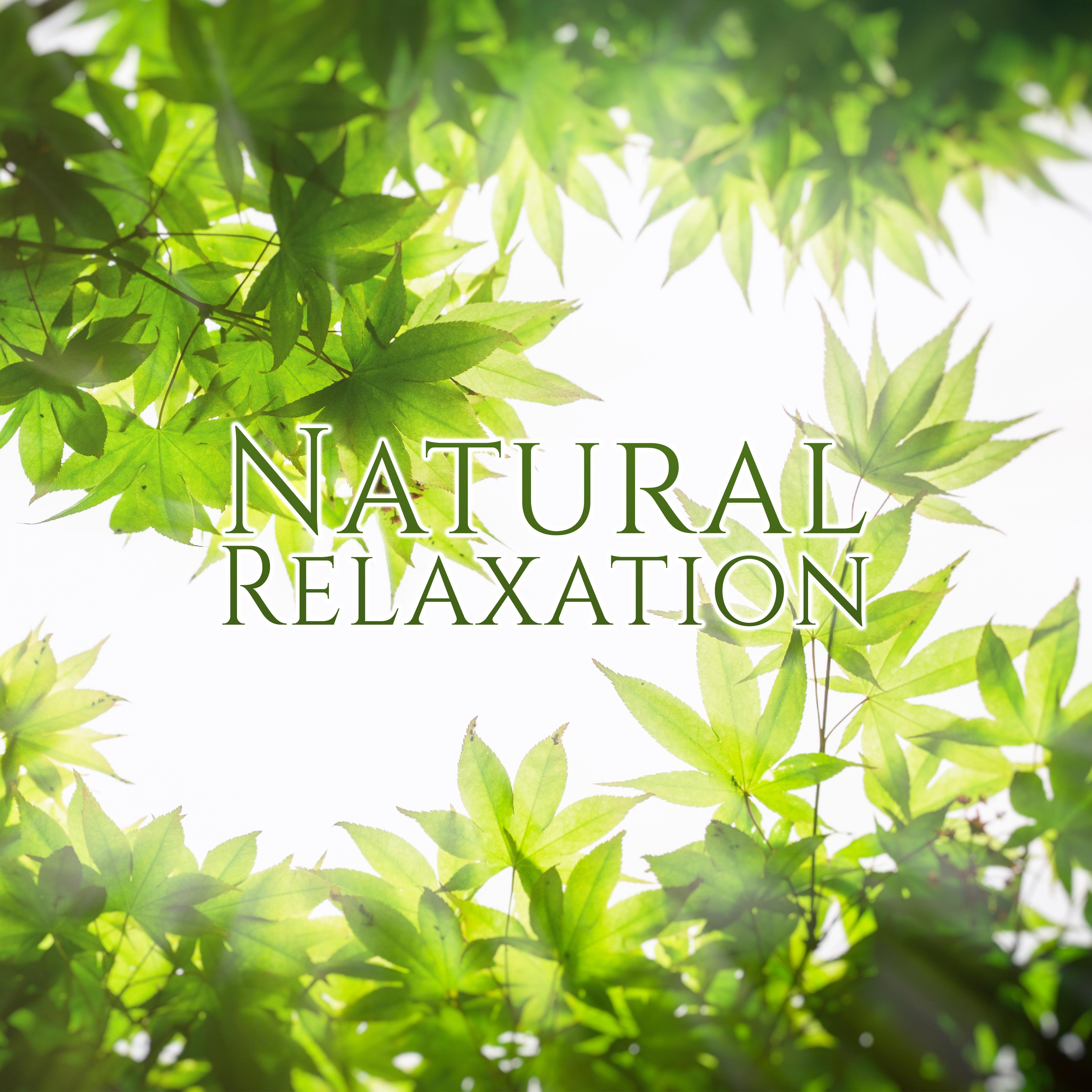 Natural Relaxation – Healing Waves, Mind Calmness, Stress Relief, Inner Peace