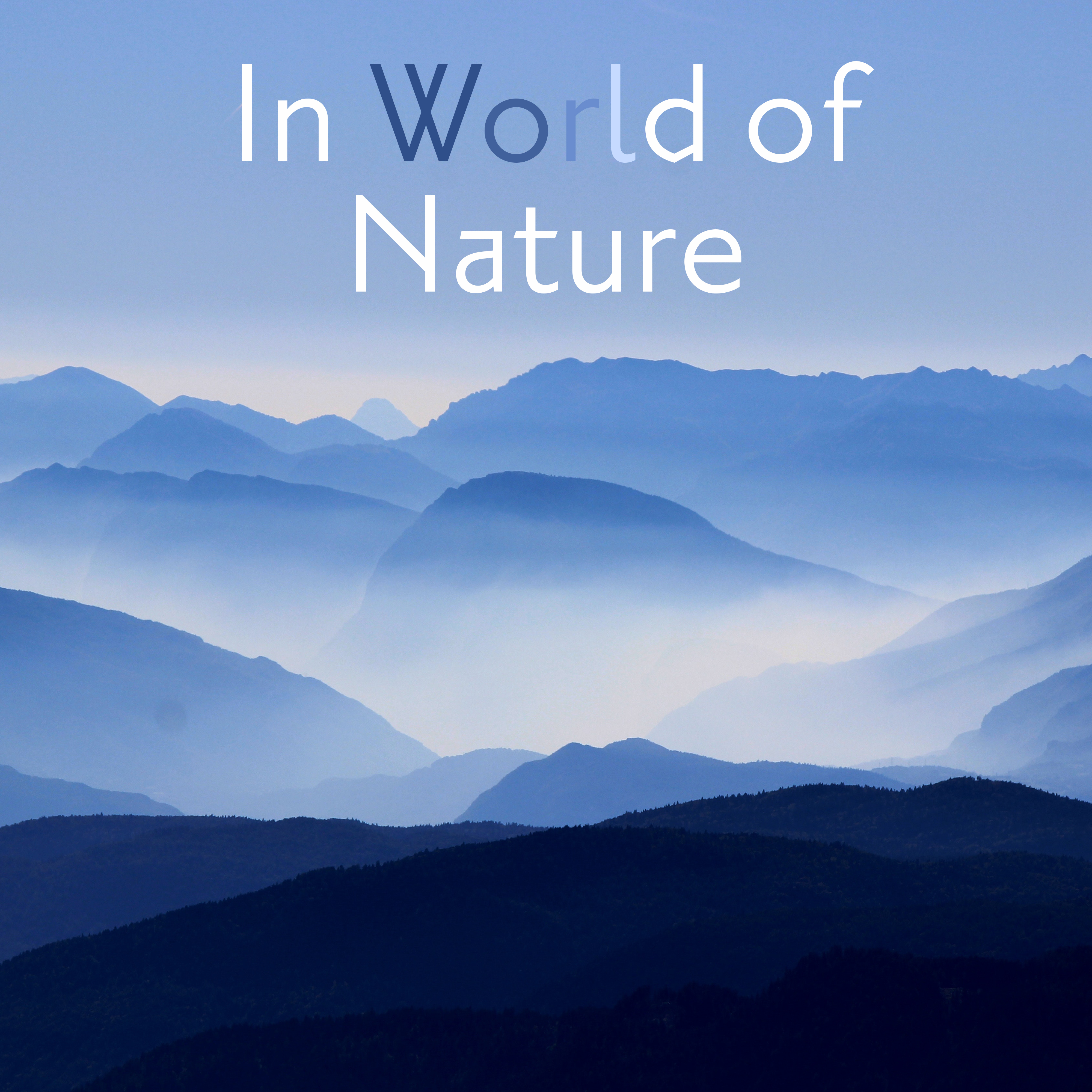 In World of Nature – Calm Meditation, Relaxing Music to Rest, Soothing Sounds, Singing Birds, Pure Waves, Delicate Rain, Zen